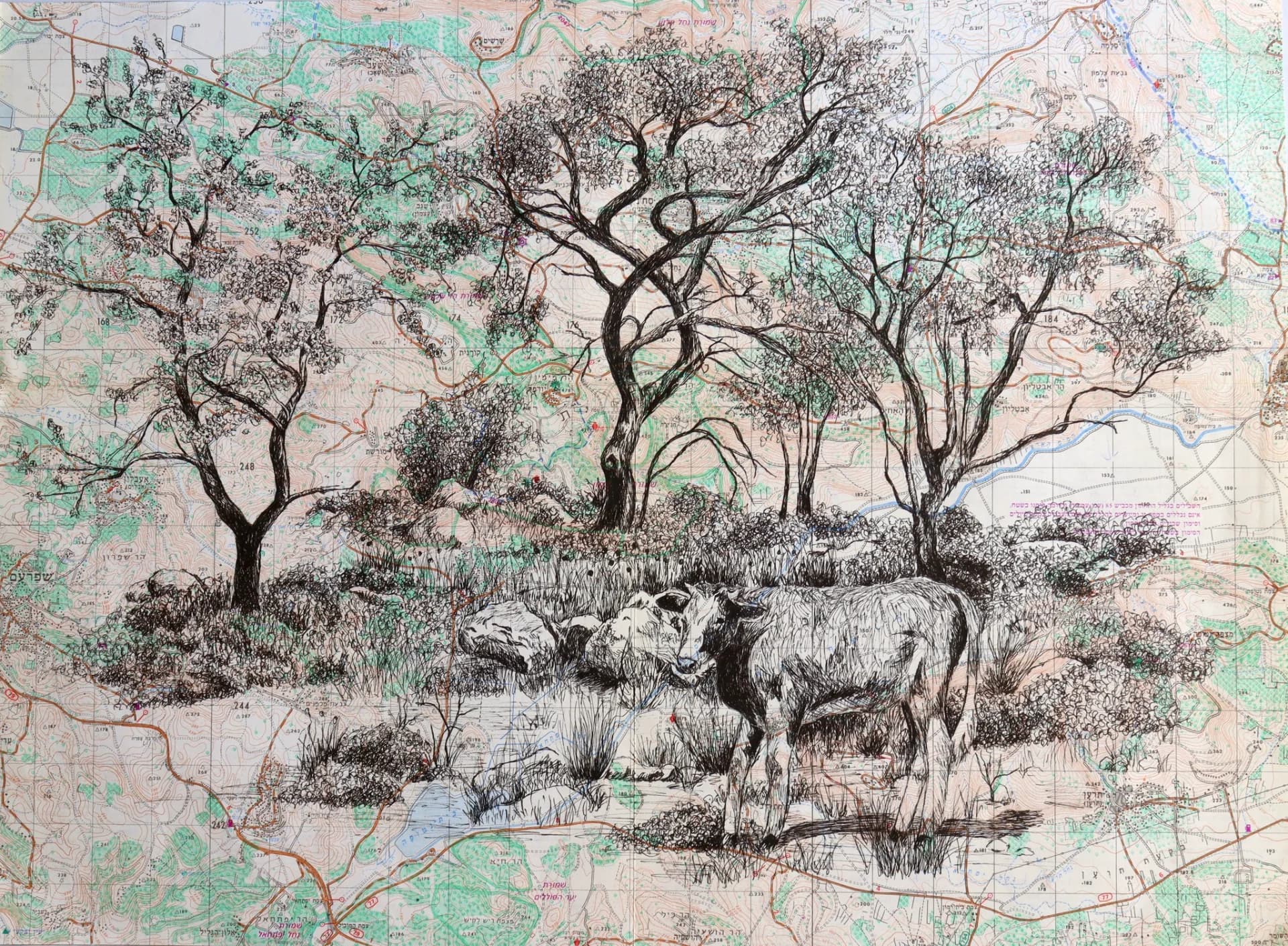 A drawing on a trail marking map. A cow in the field.