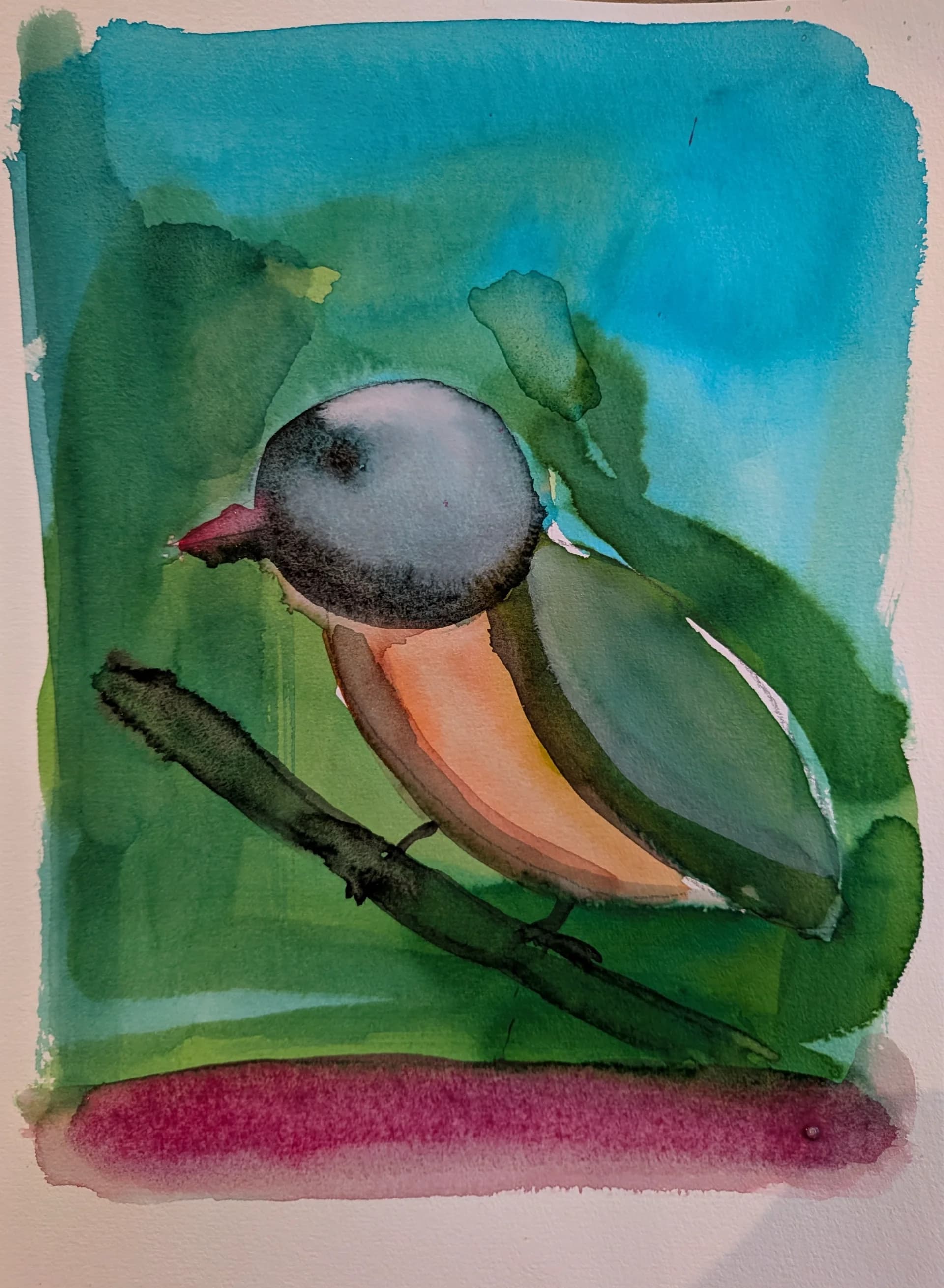 ציפור כתומת חזה