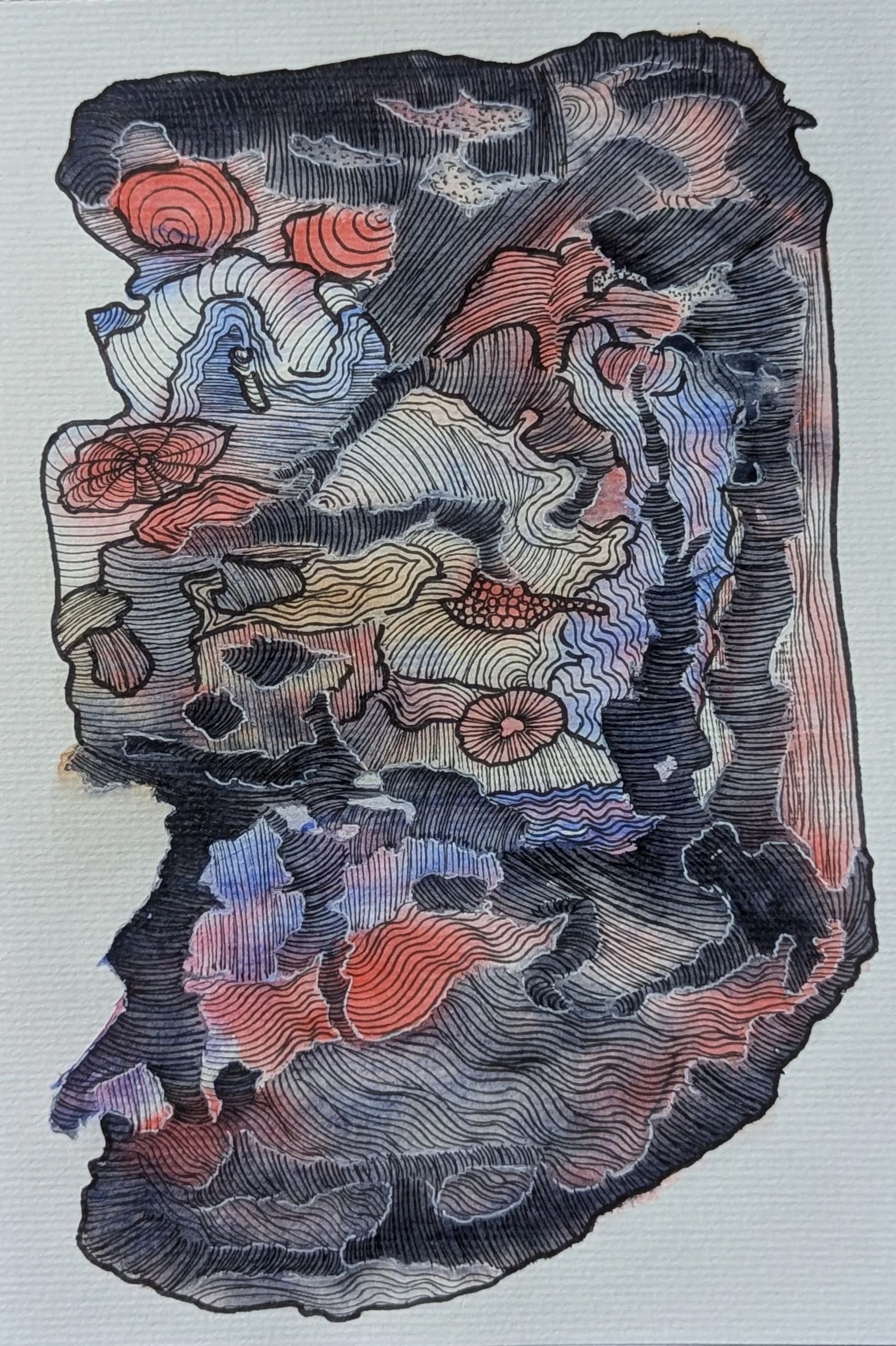 מכאוס לדיוק