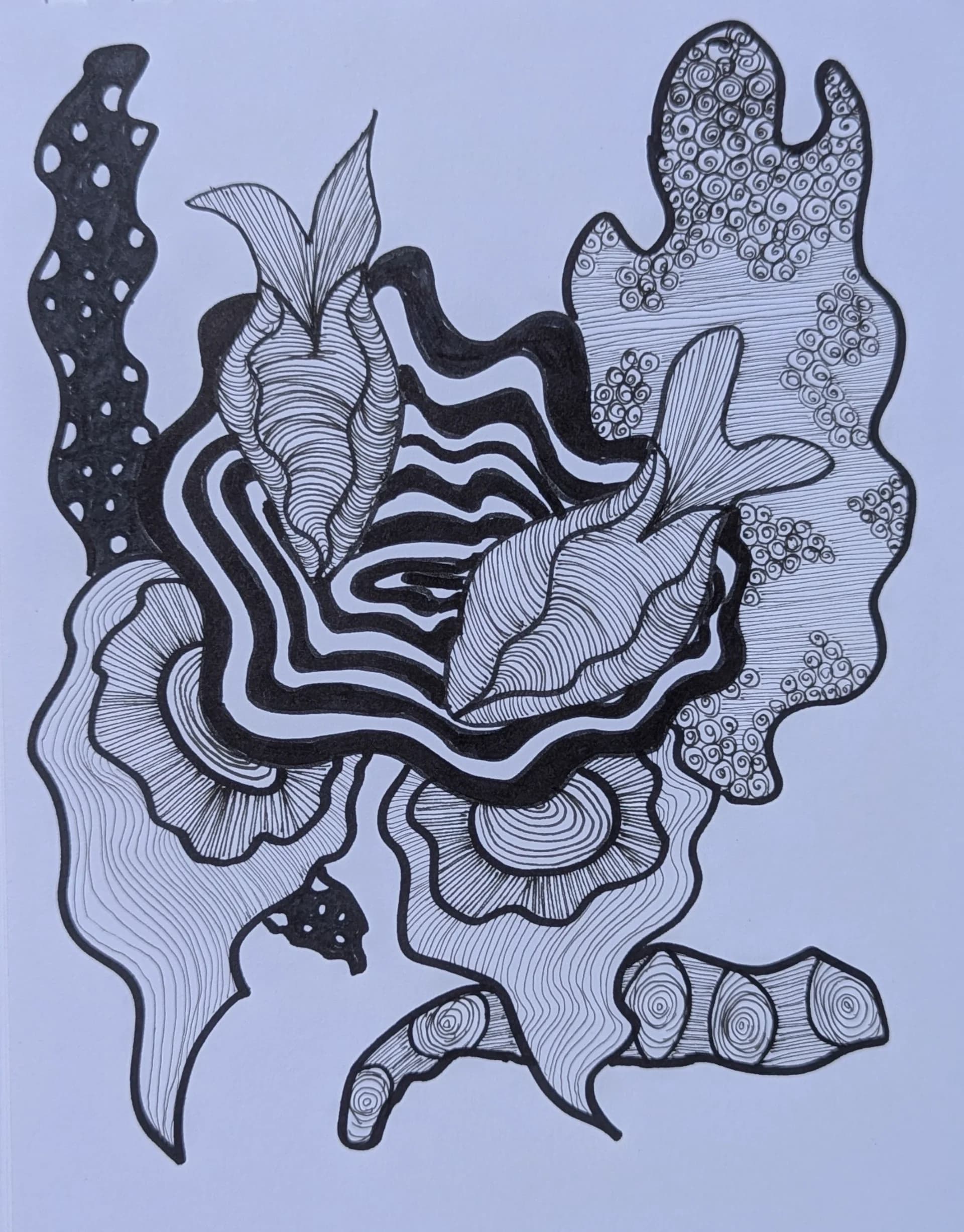 התמסרות לאשליה