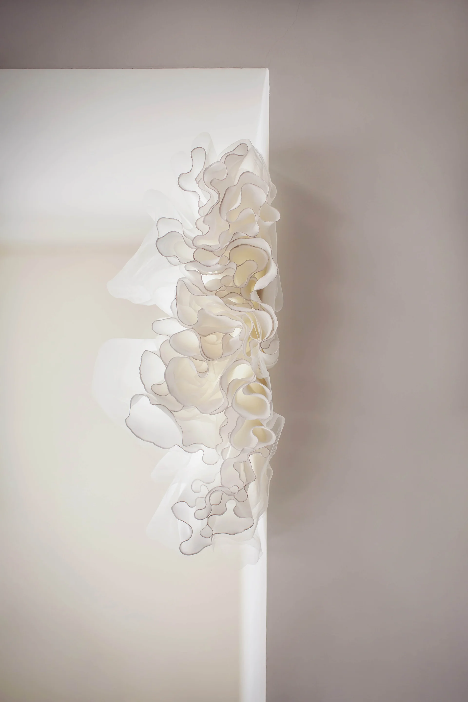 Fabric Folds