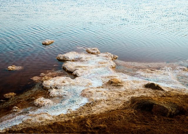 Salty Rocks