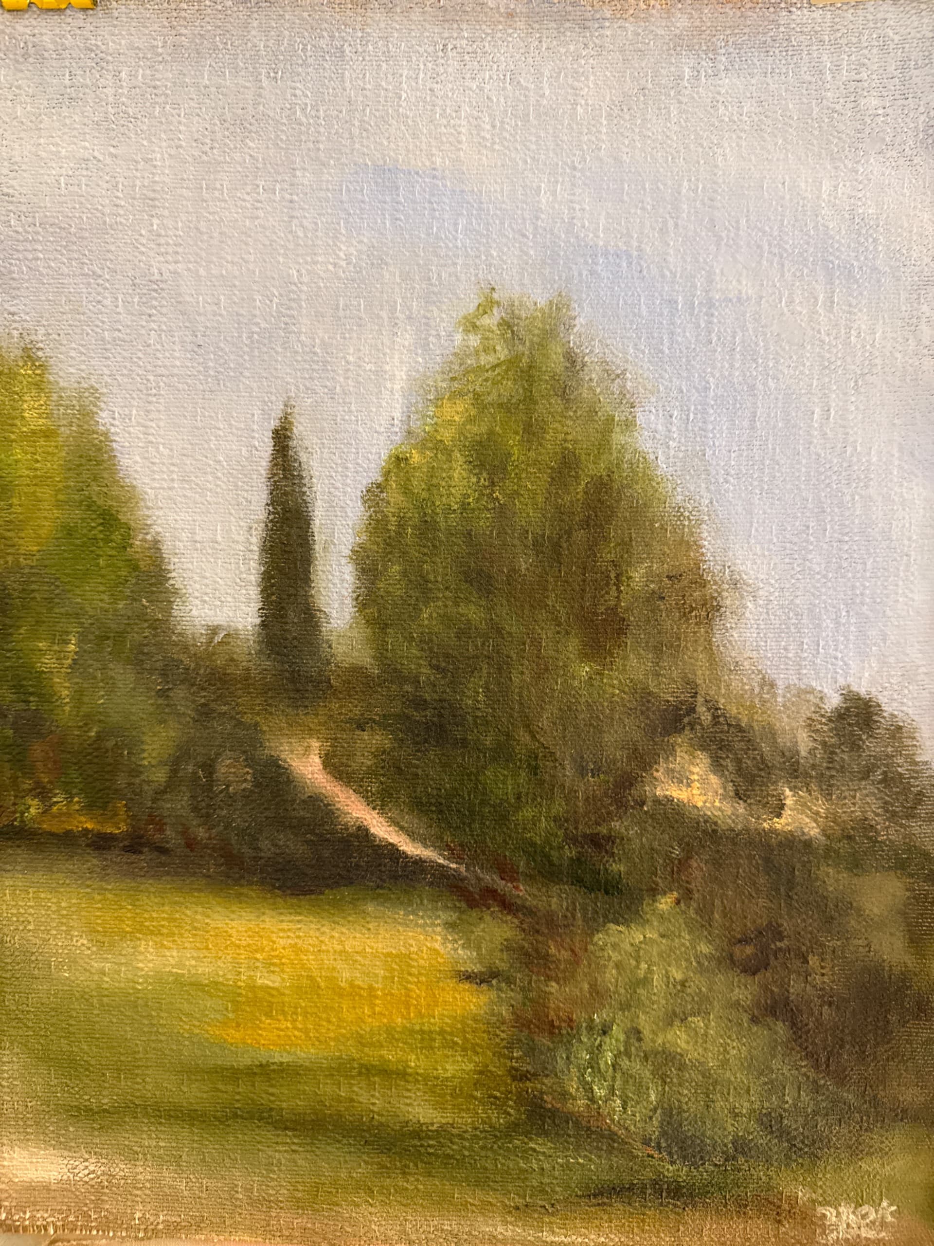 Garden Path and Trees