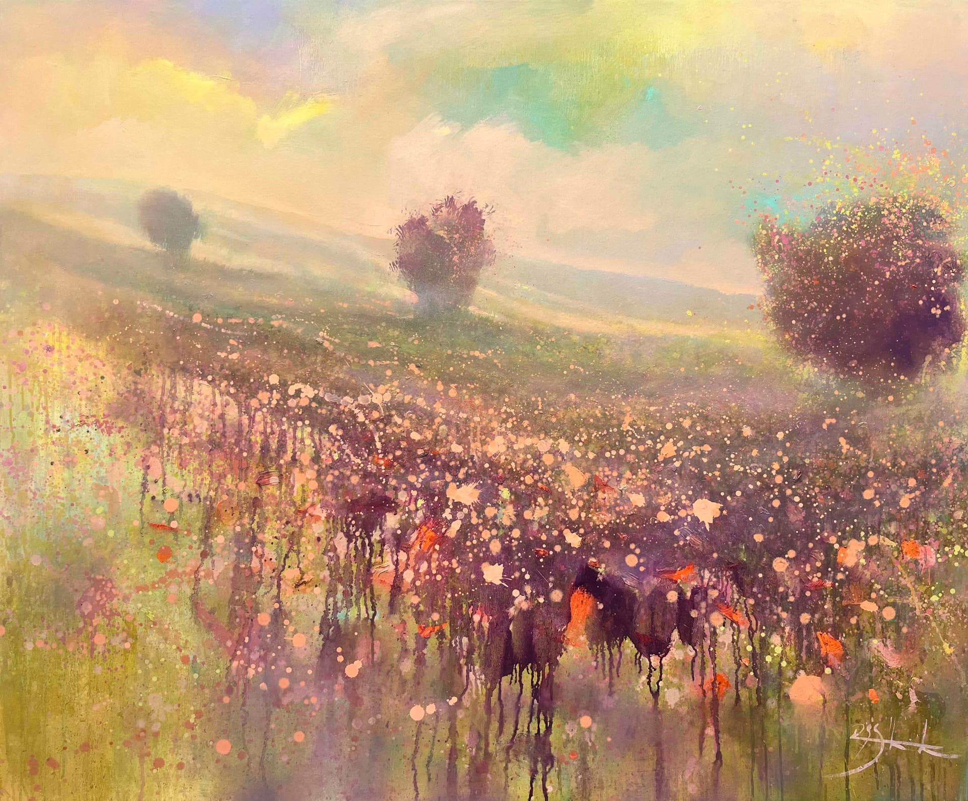 Mountain Light 12