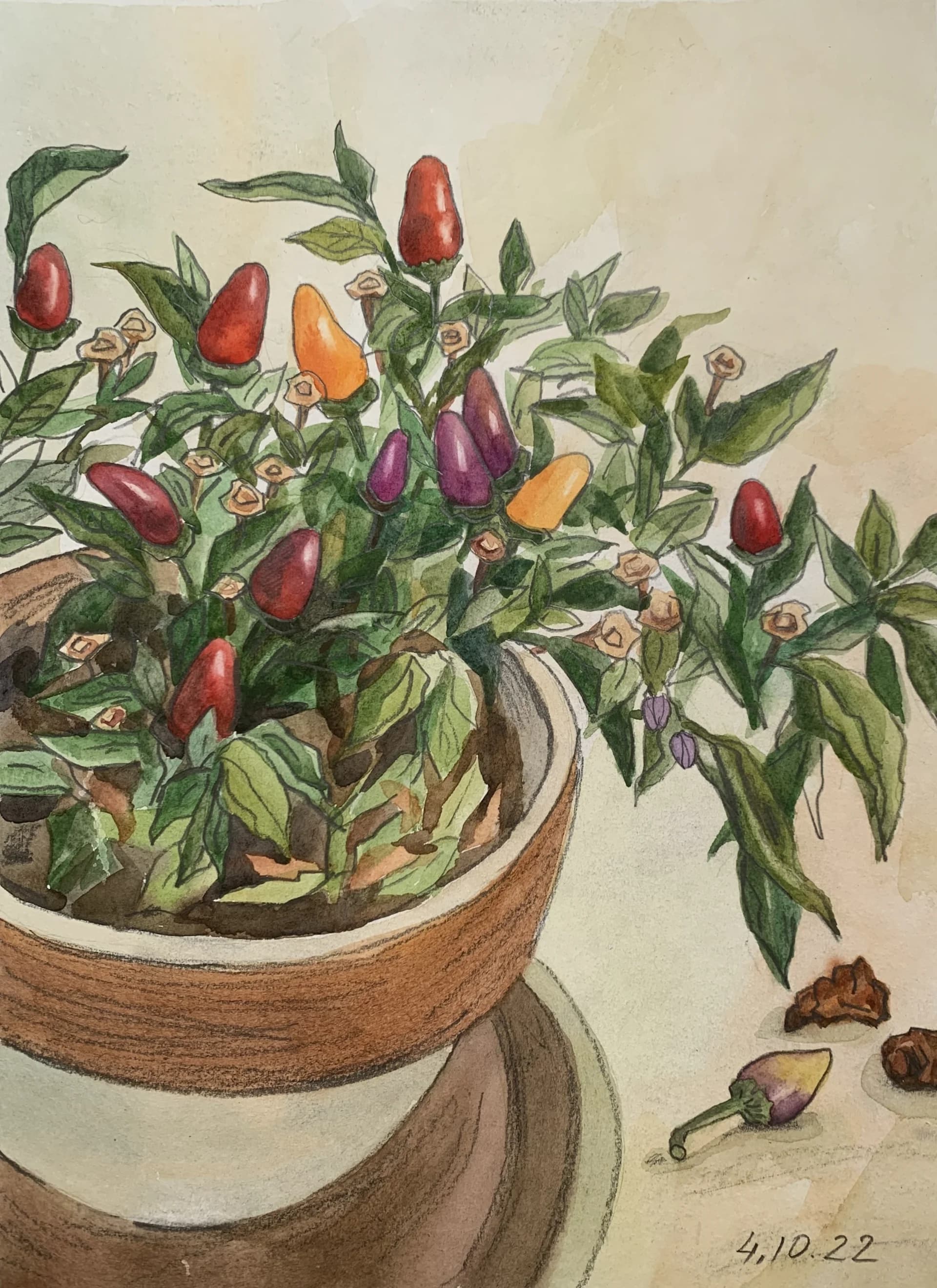 Peppers at the end of summer