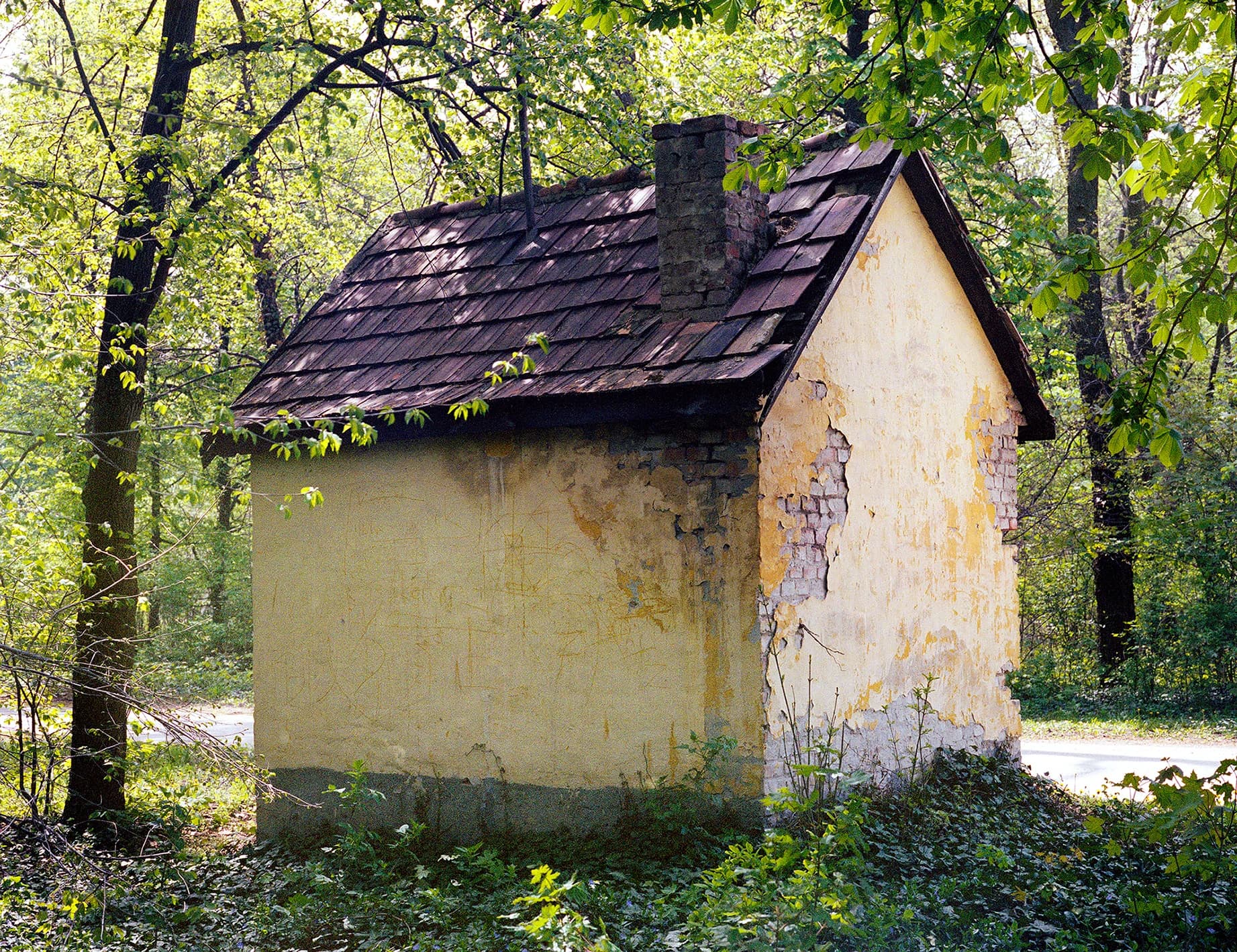 Little House in the Forest