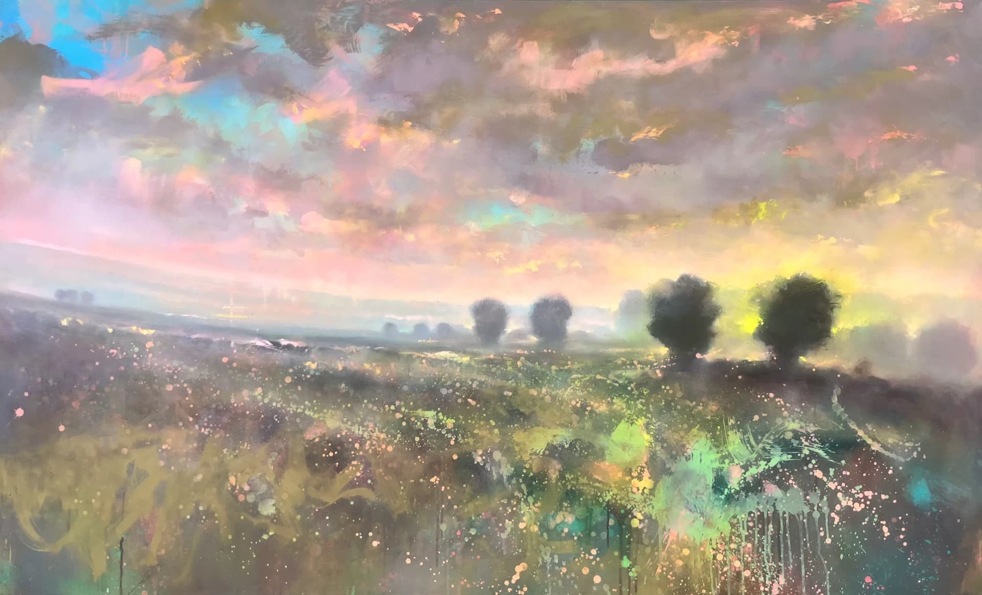 Field in Dusk Light