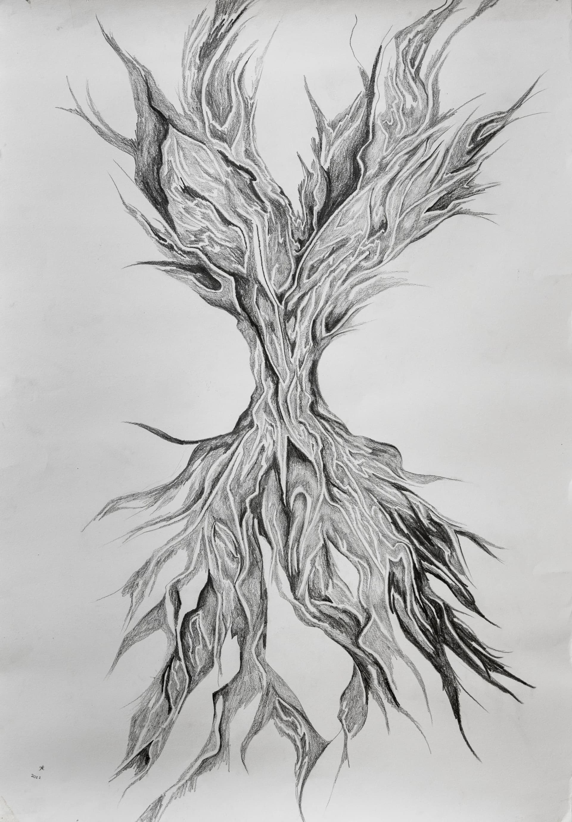 מתוך הסבך, 2023