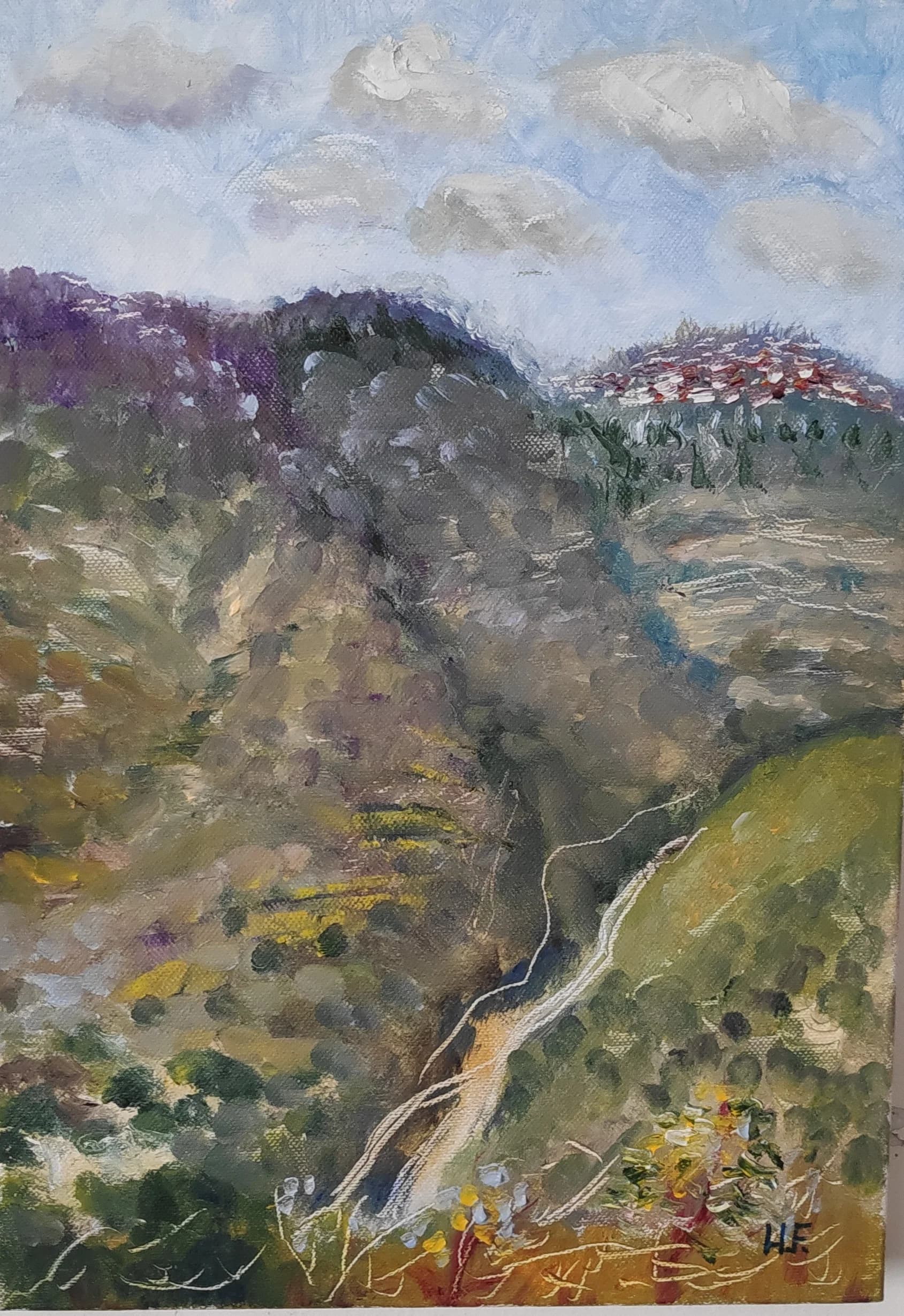 Path Through the Hills