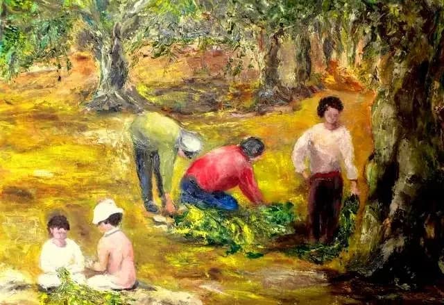 Olive harvester