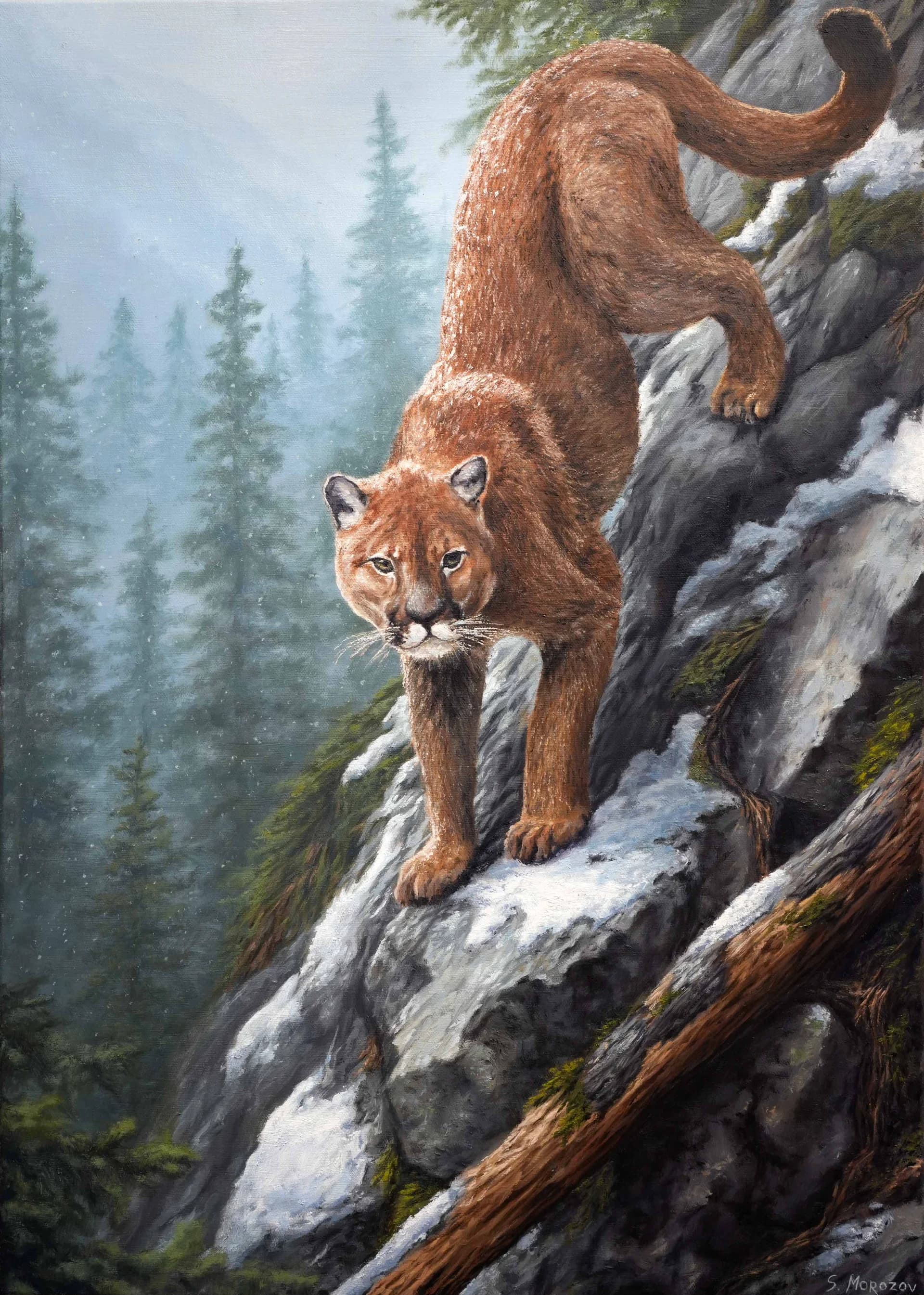 Silent Predator