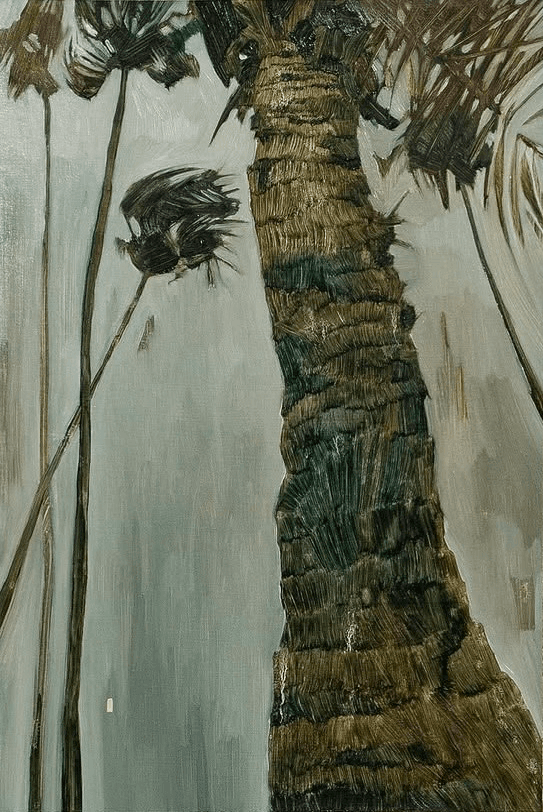 winter palm trees