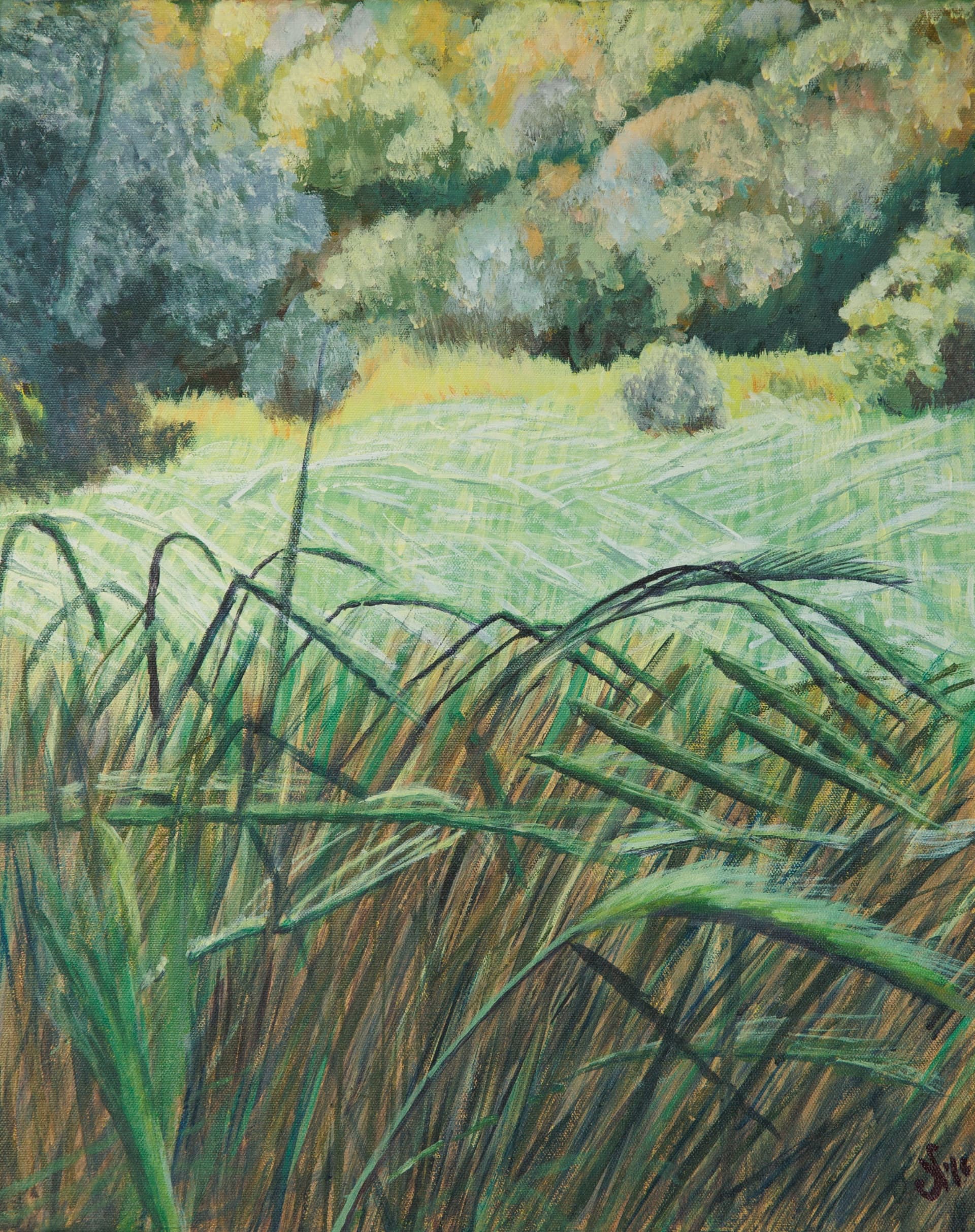 Wheat stalks in the Ela valley
