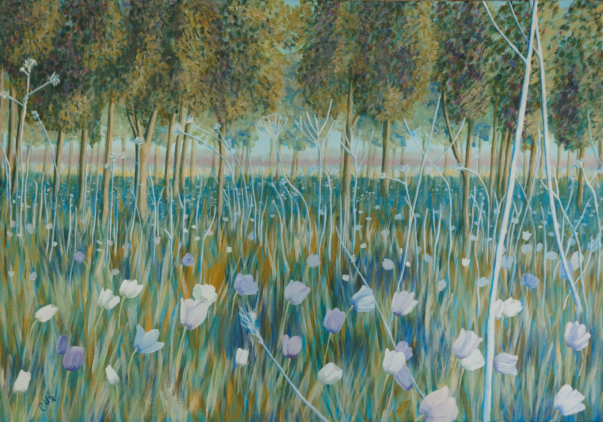 Anemones in Megiddo forest