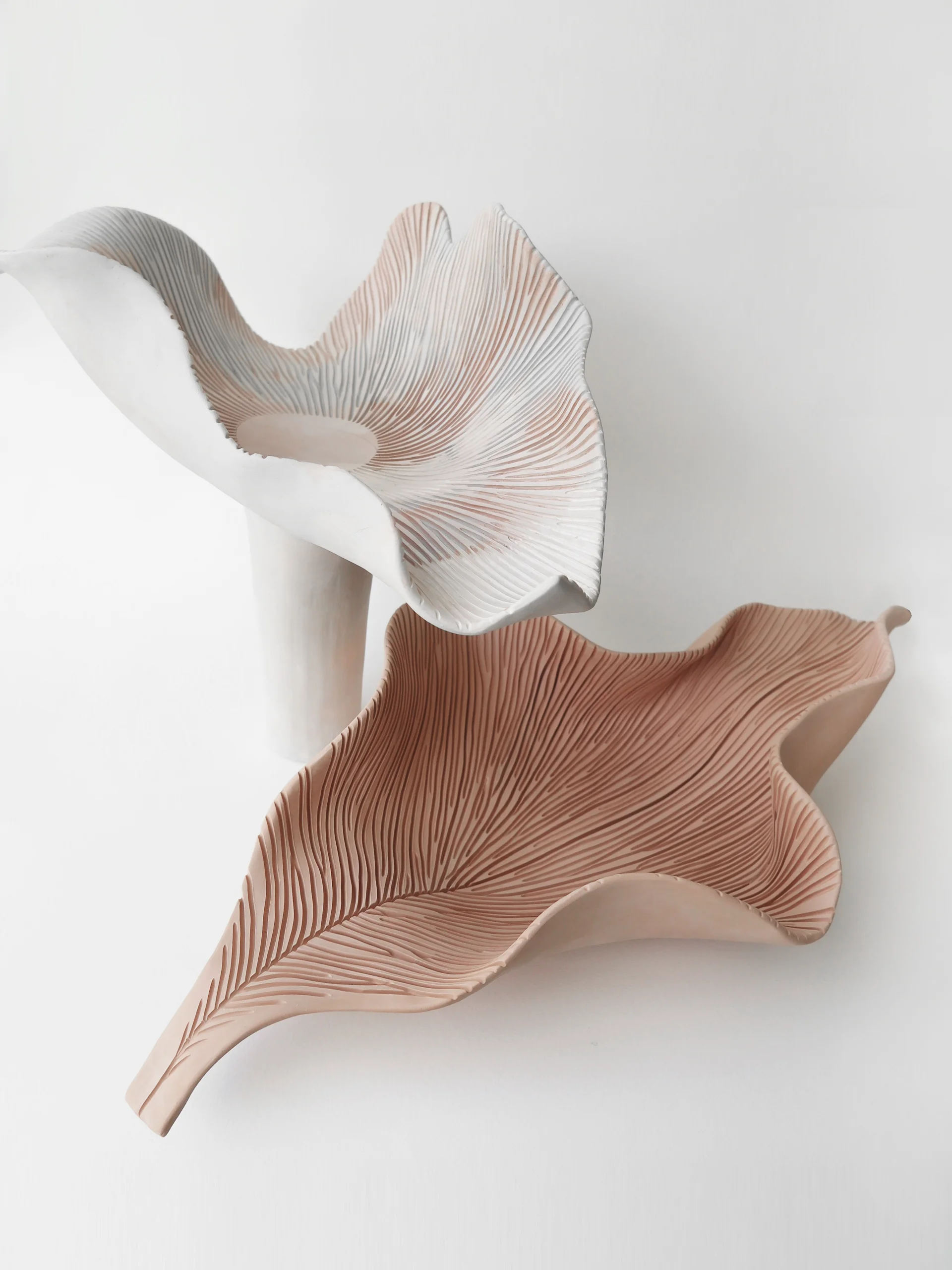 LEAF // No.1 2
