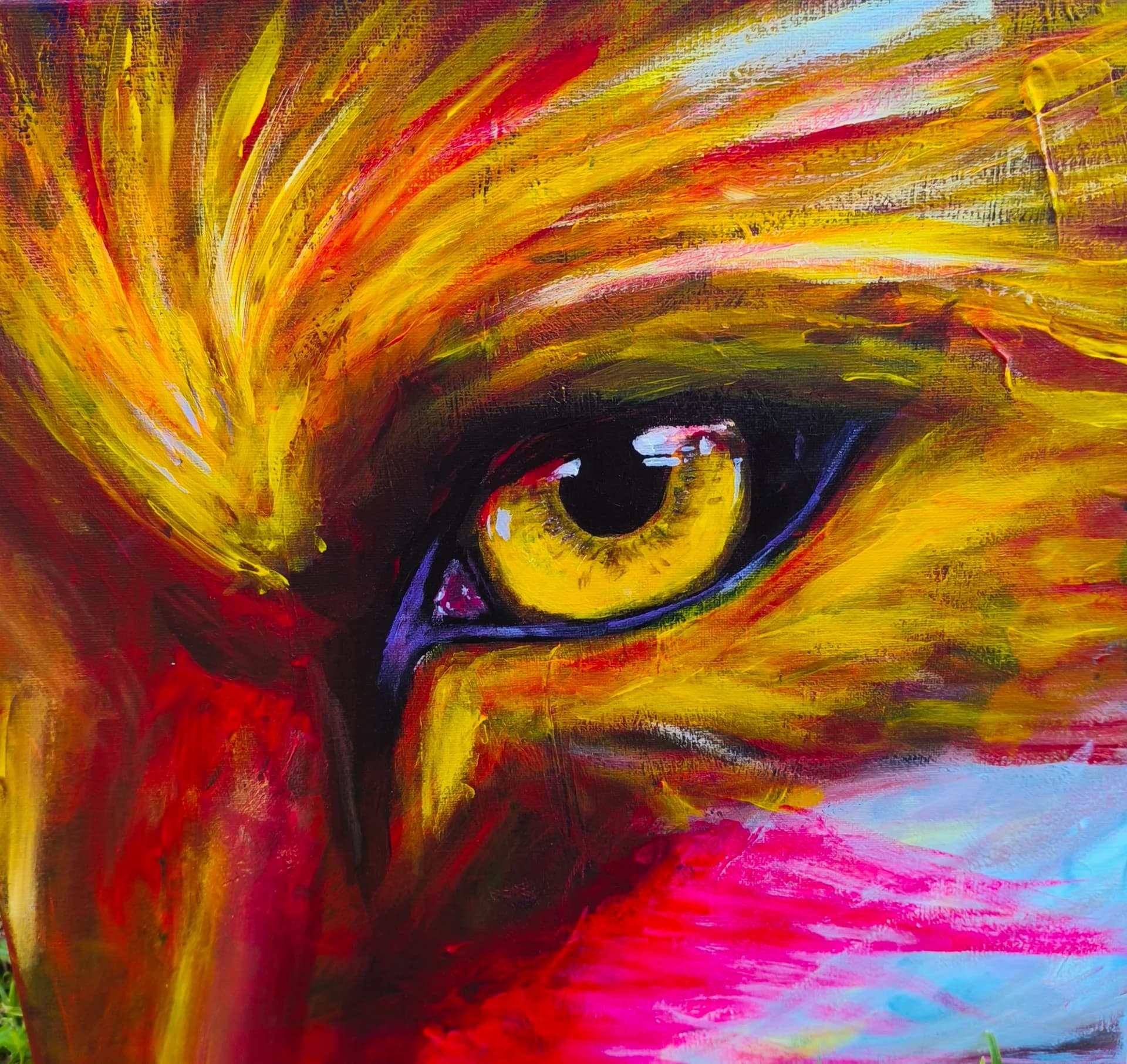 L'œil du renard