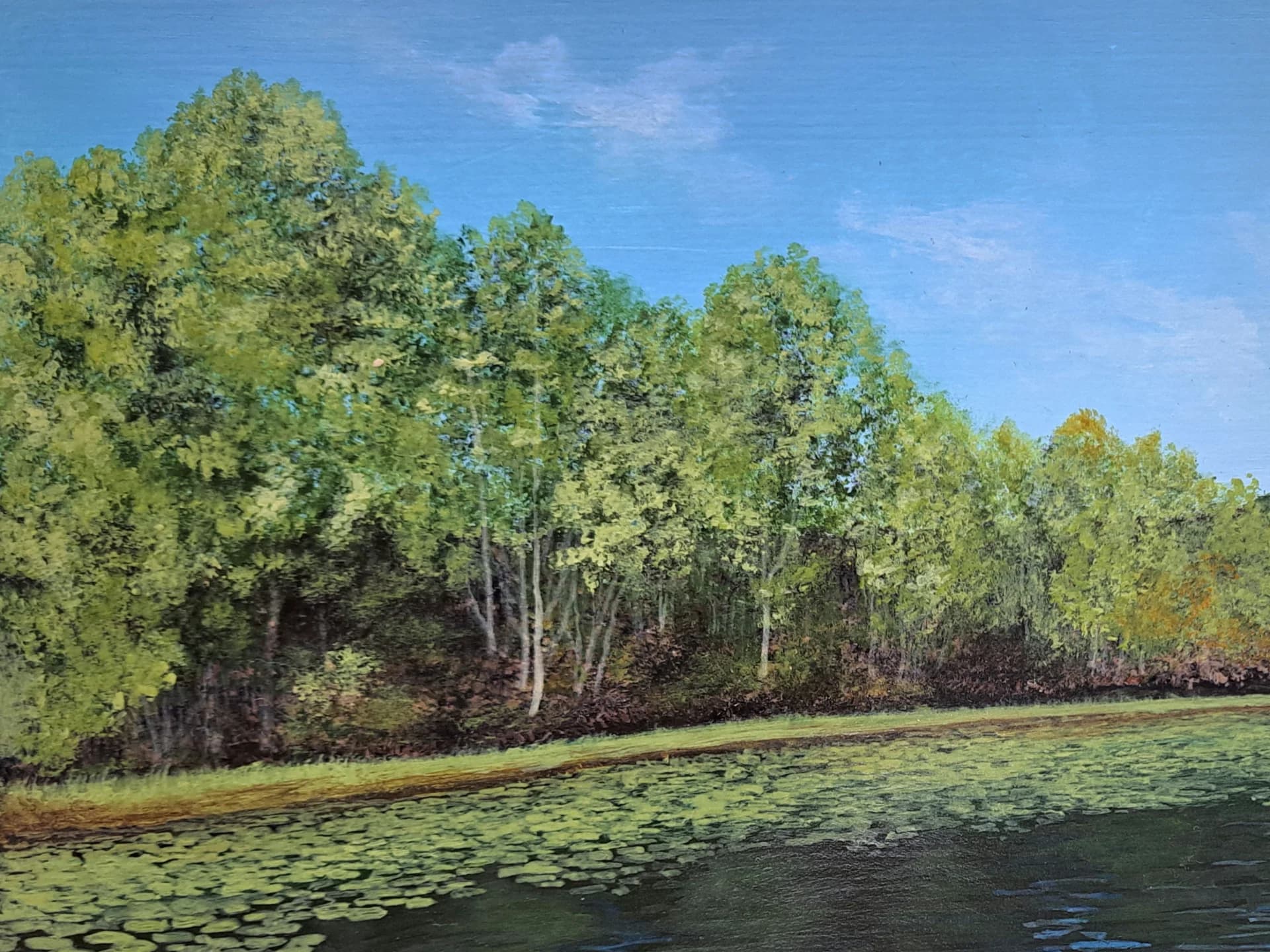 Tranquil Reflections 2