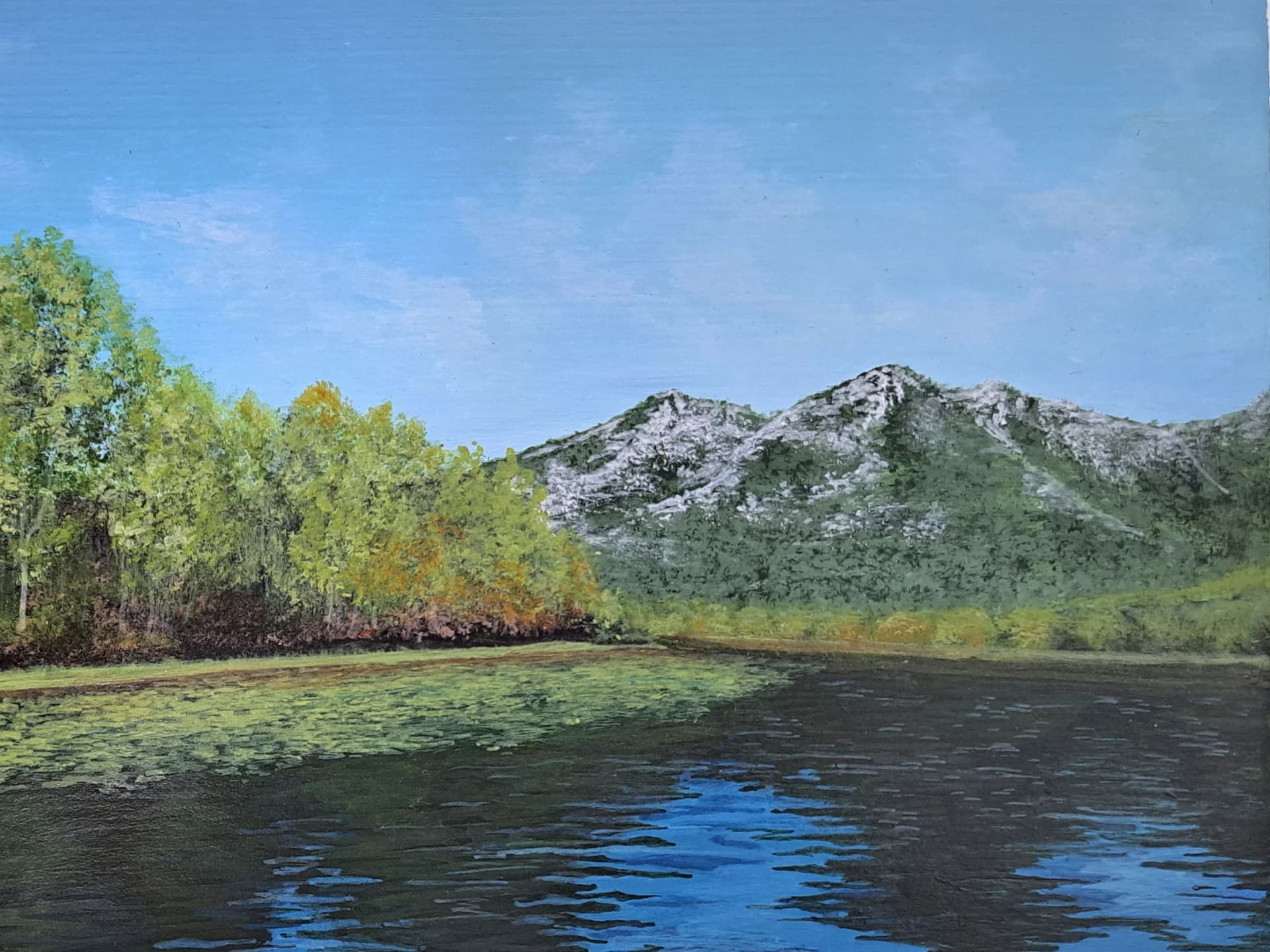 Tranquil Reflections 3