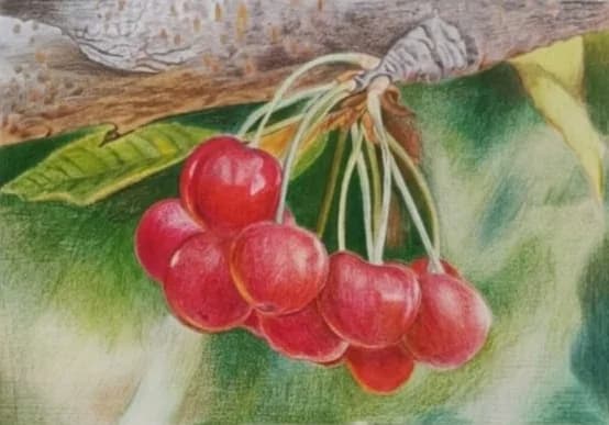 Cluster of Red Berries