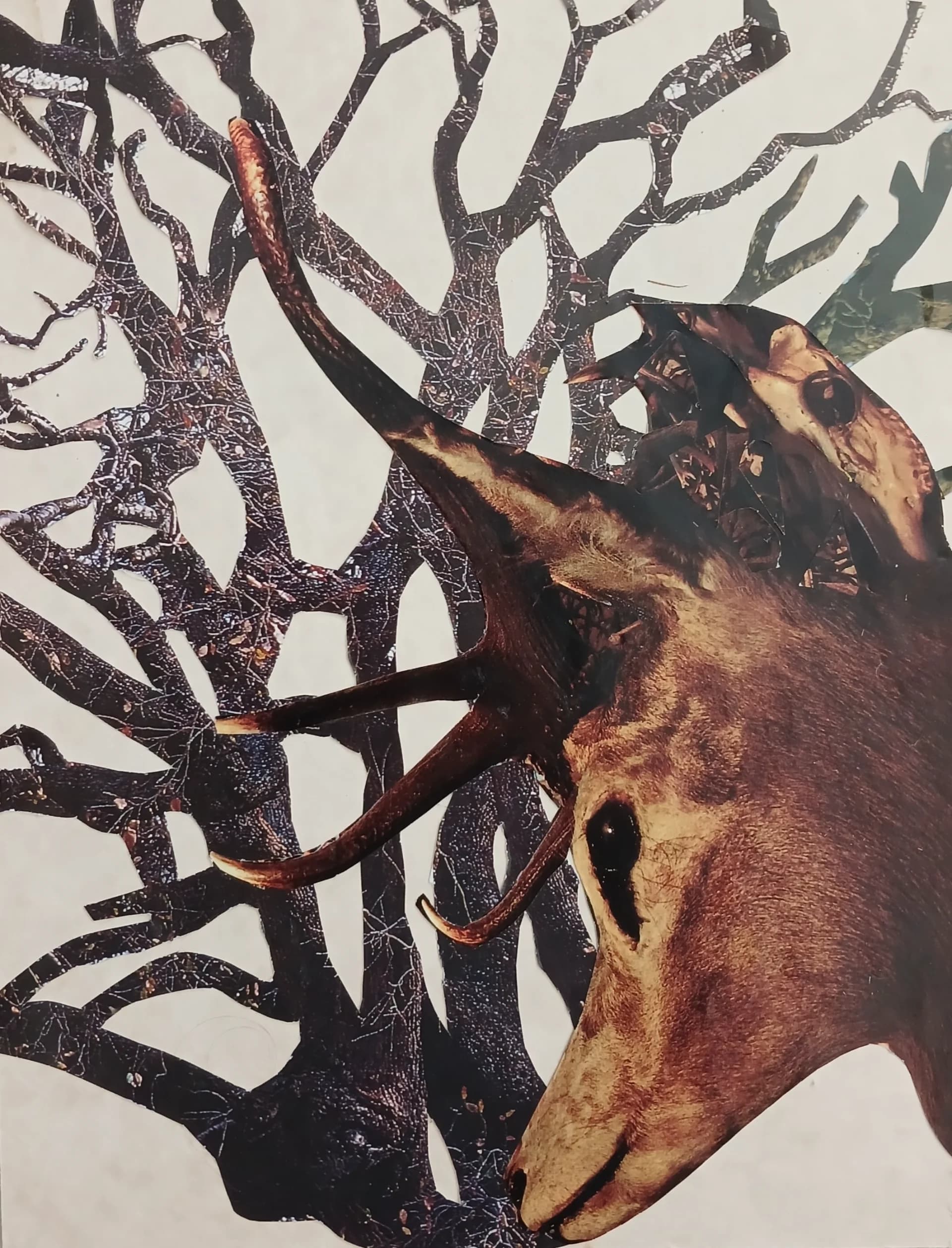 Branches