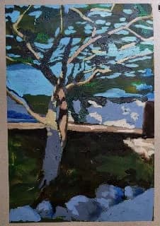 shadows , tree and wall