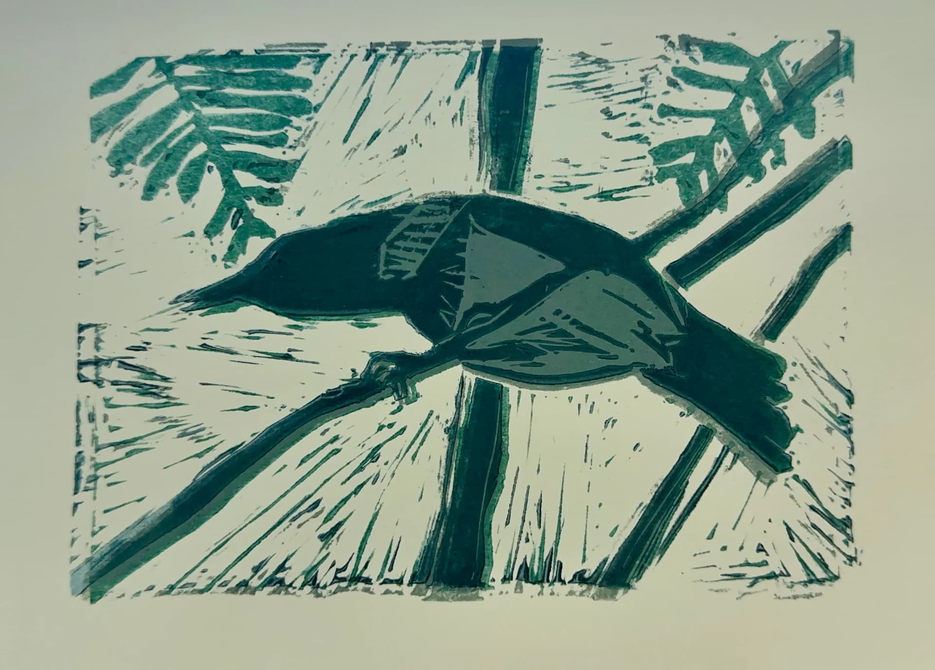 A crow in my yard