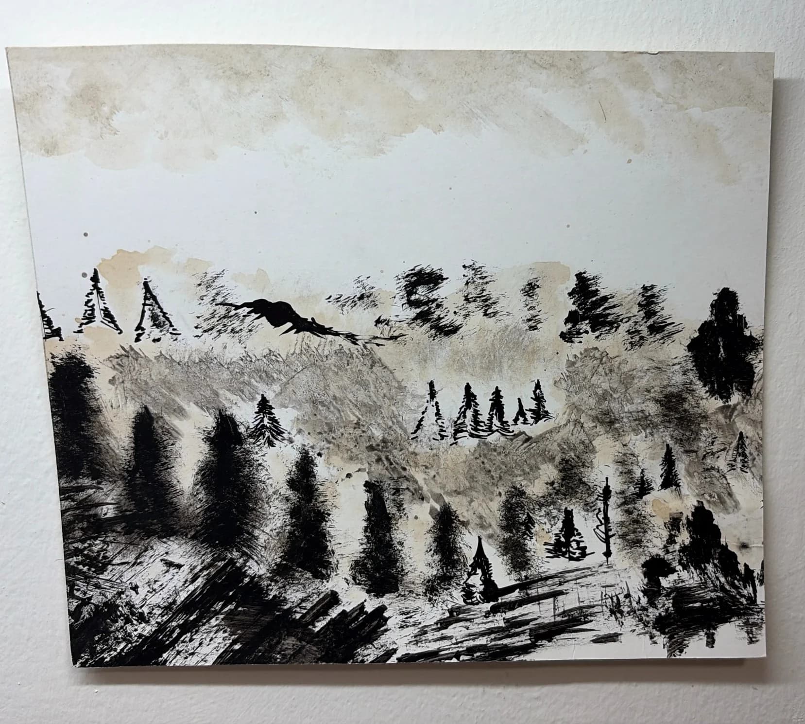 Flight Over the Pines 2