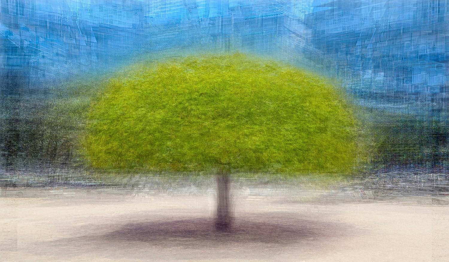 כיכר המדינה