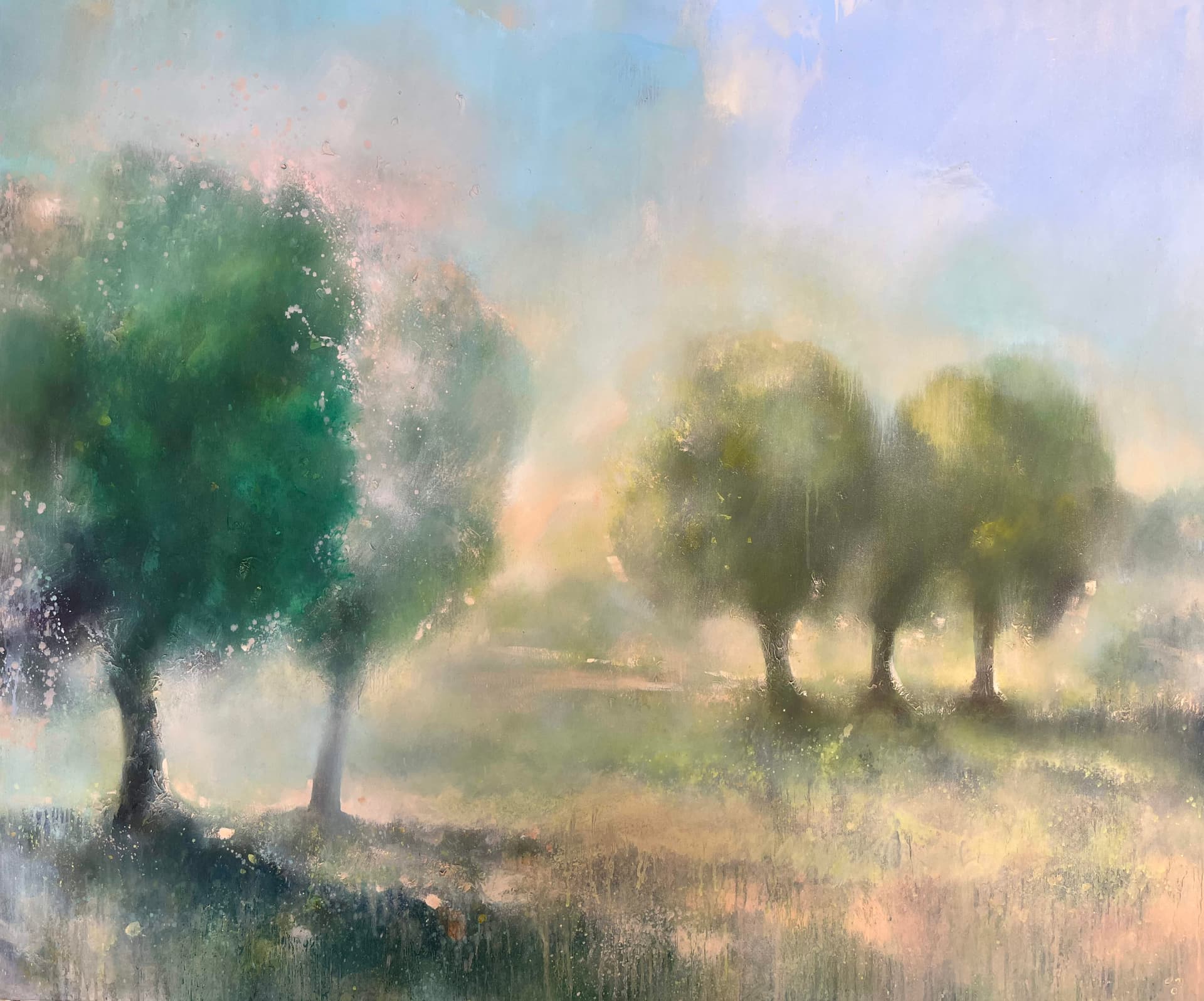 TREES IN LIGHT