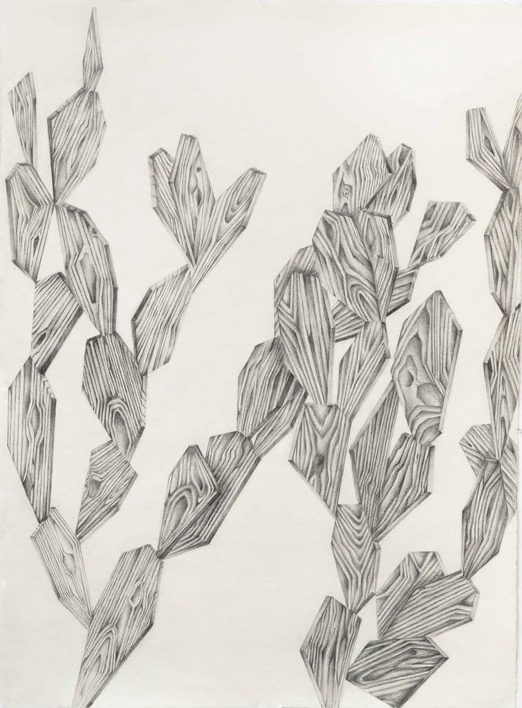 Wood