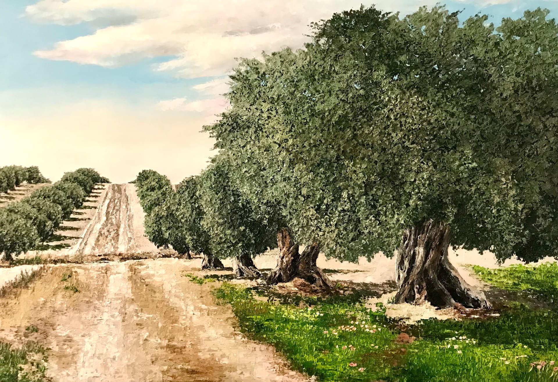 Olive tree path