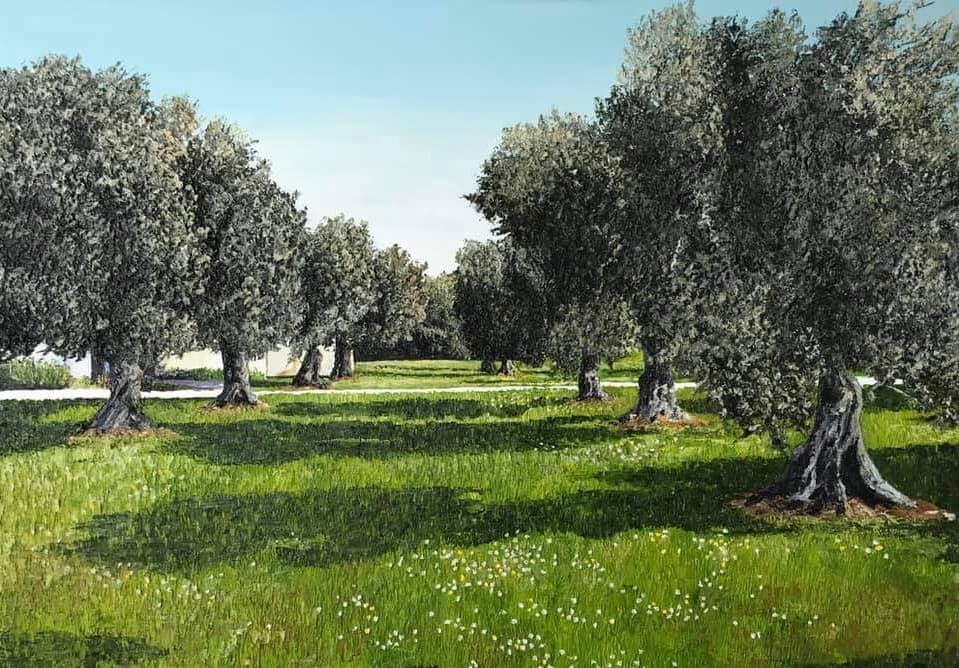 The olive trees in Bet haemek