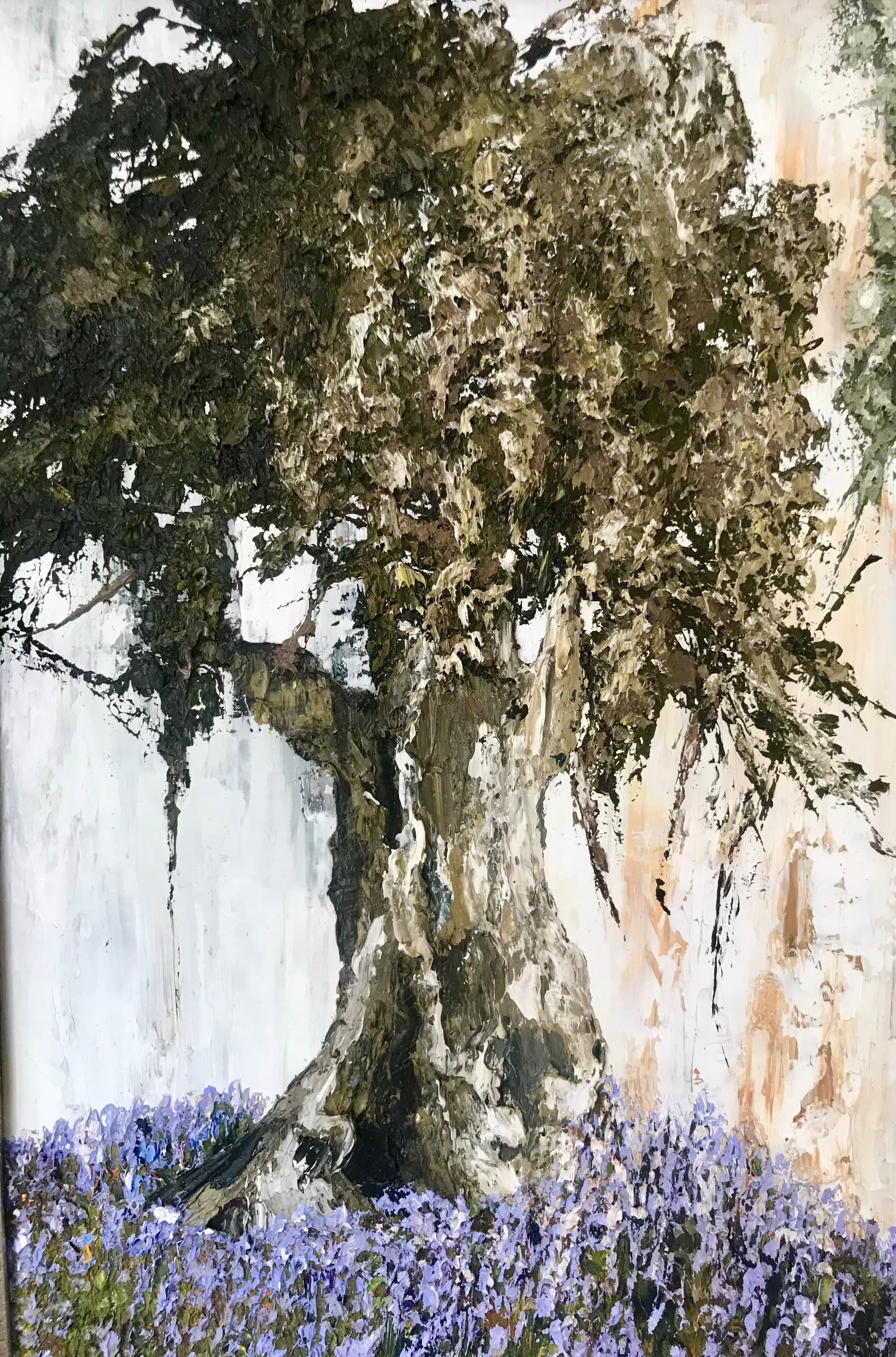 Ancient Olive tree and Lavender flowers