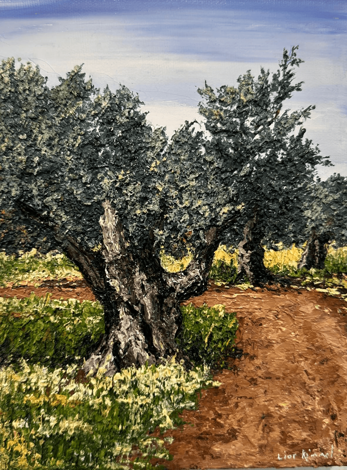 Ancient Olive tree