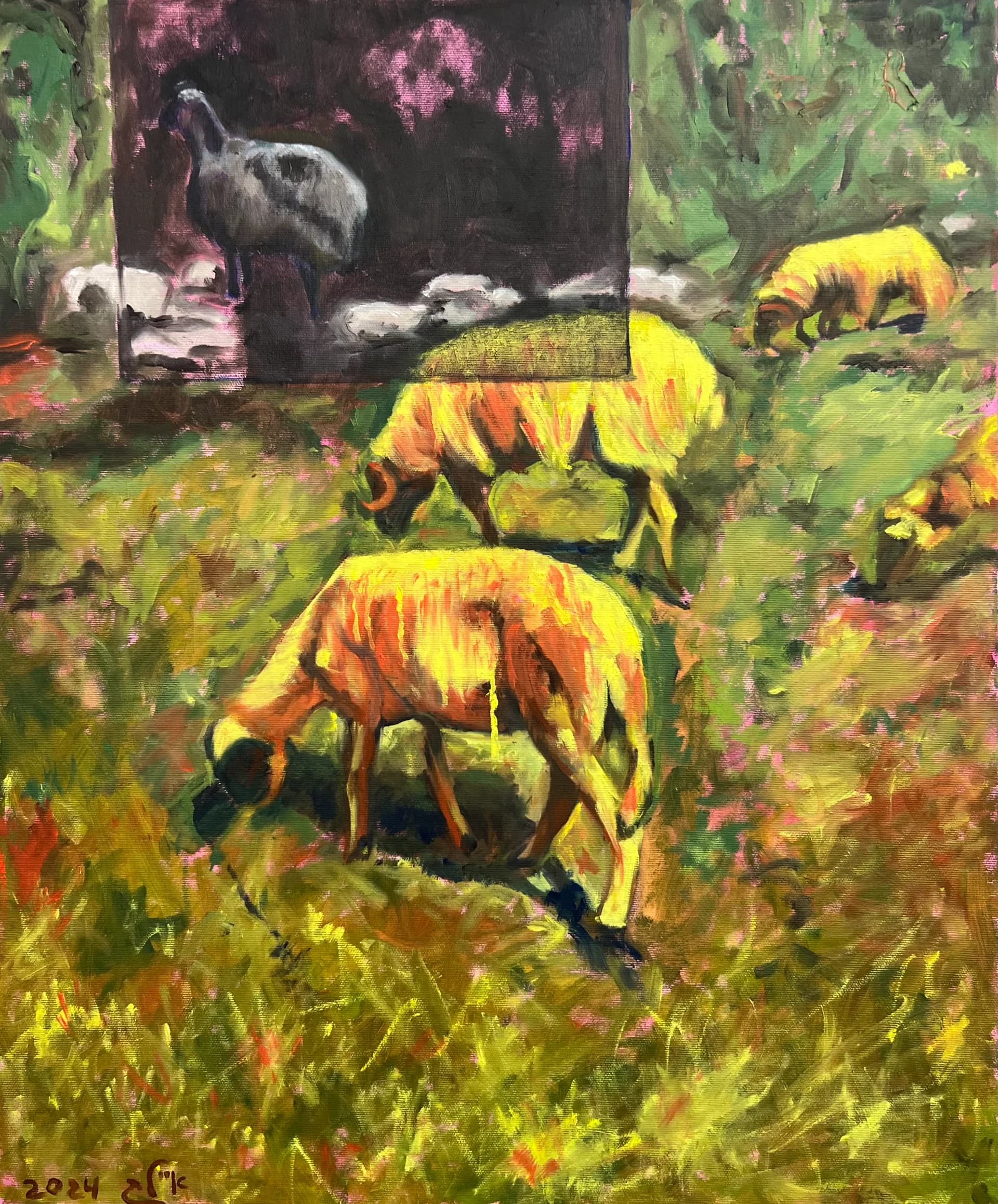 Sheep in the field