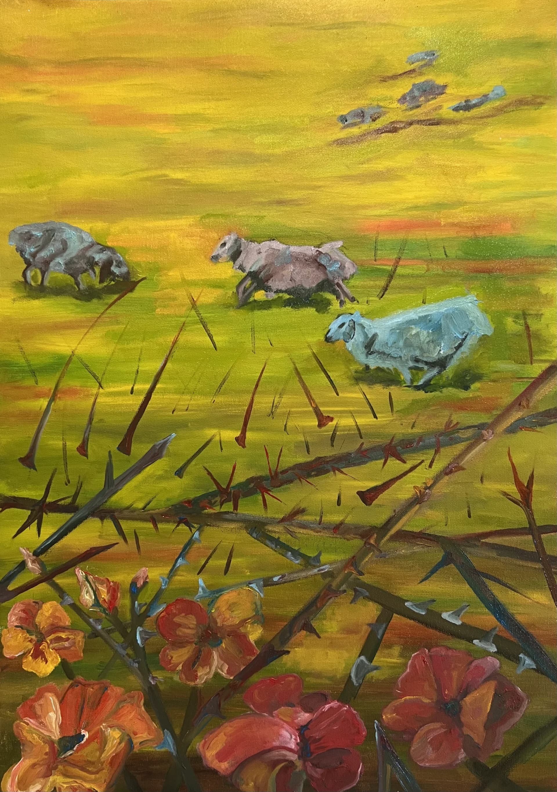 Flowers, thorns and sheep