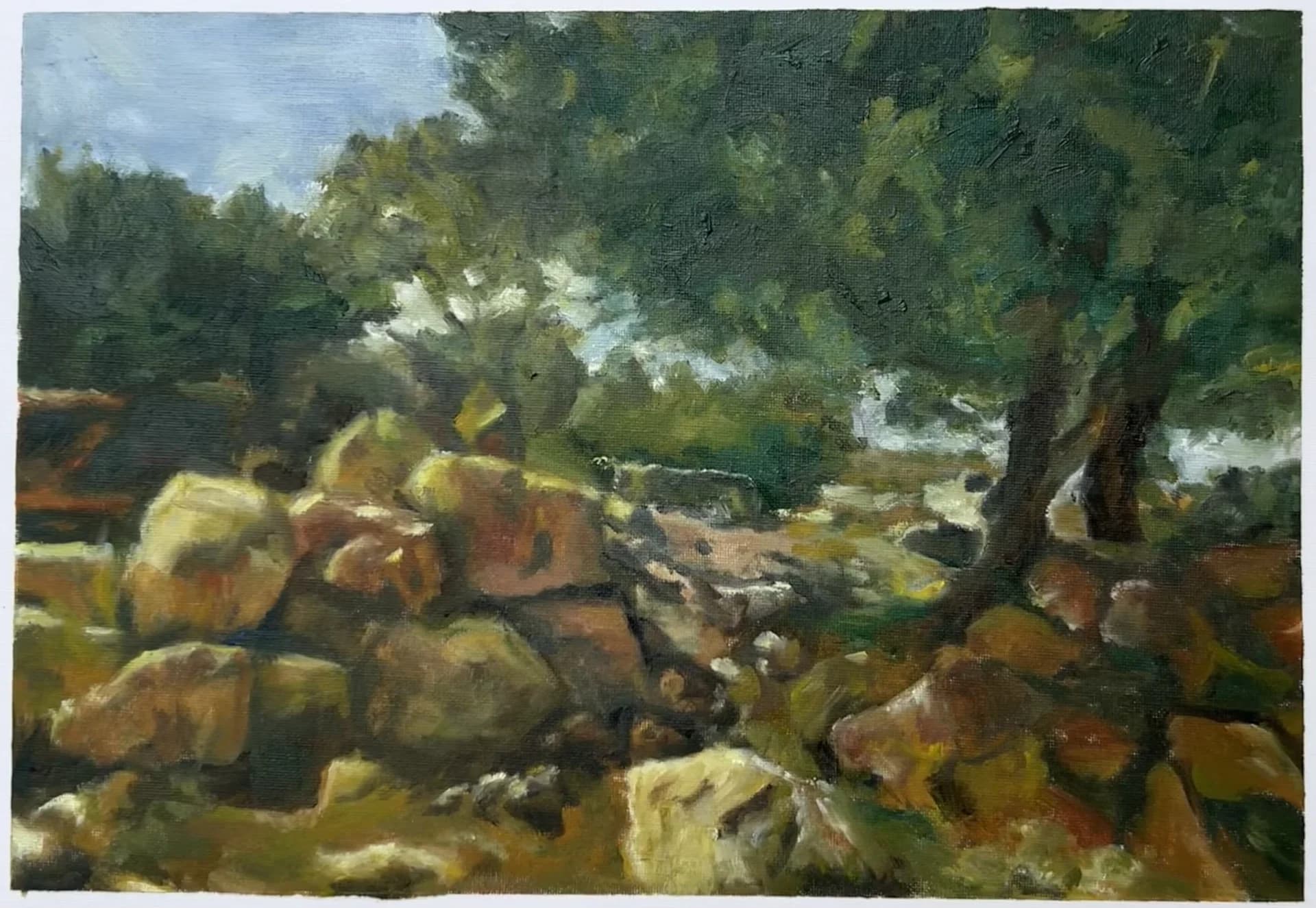 Israeli landscape