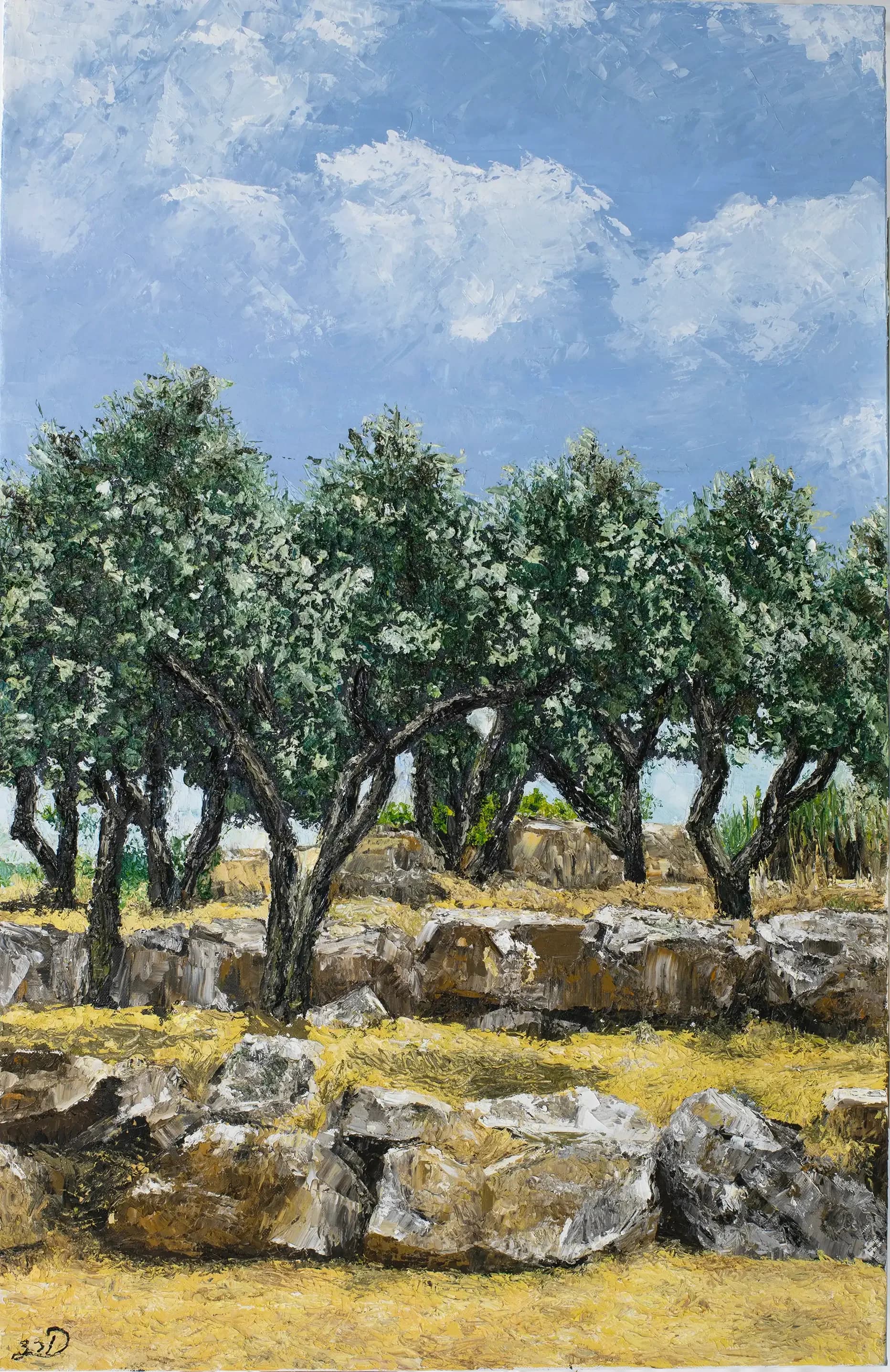 Olive trees in Kibbutz Kabri