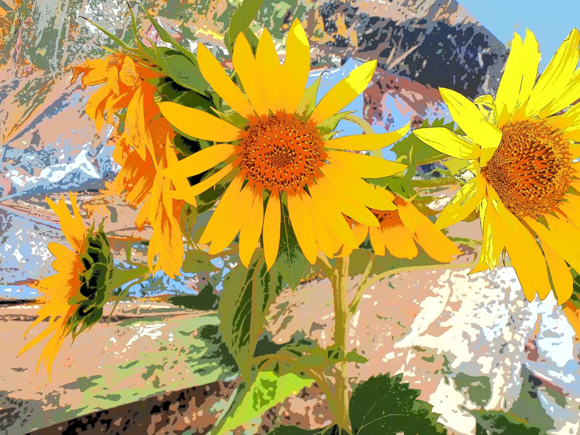 Flowers 1