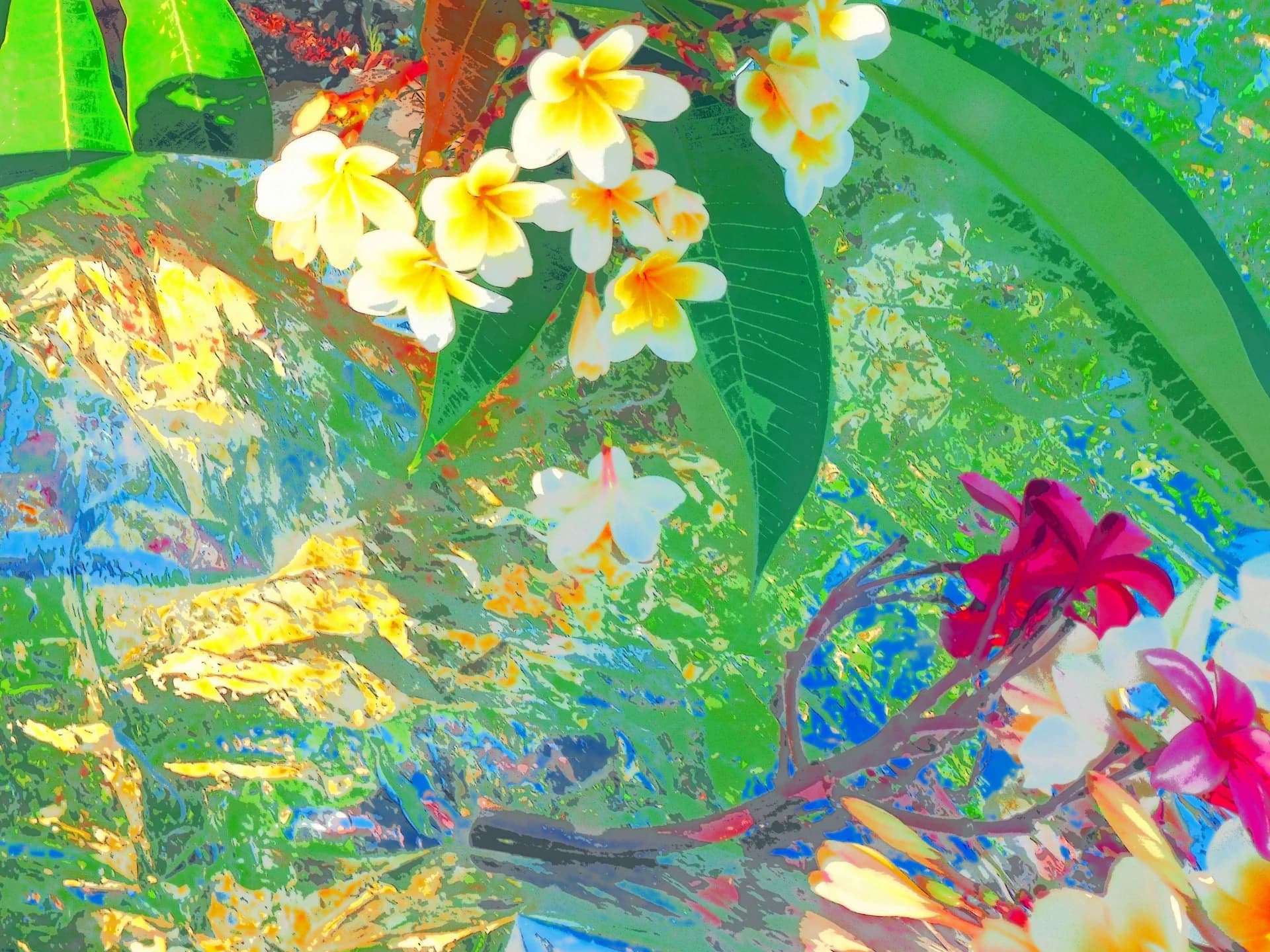 Flowers 5