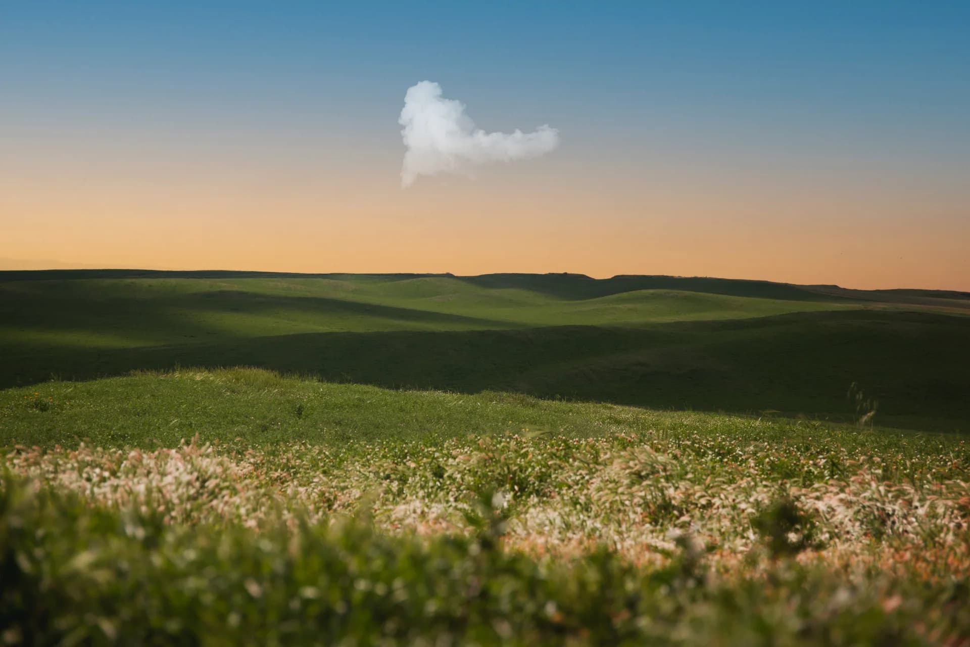 The Cloud