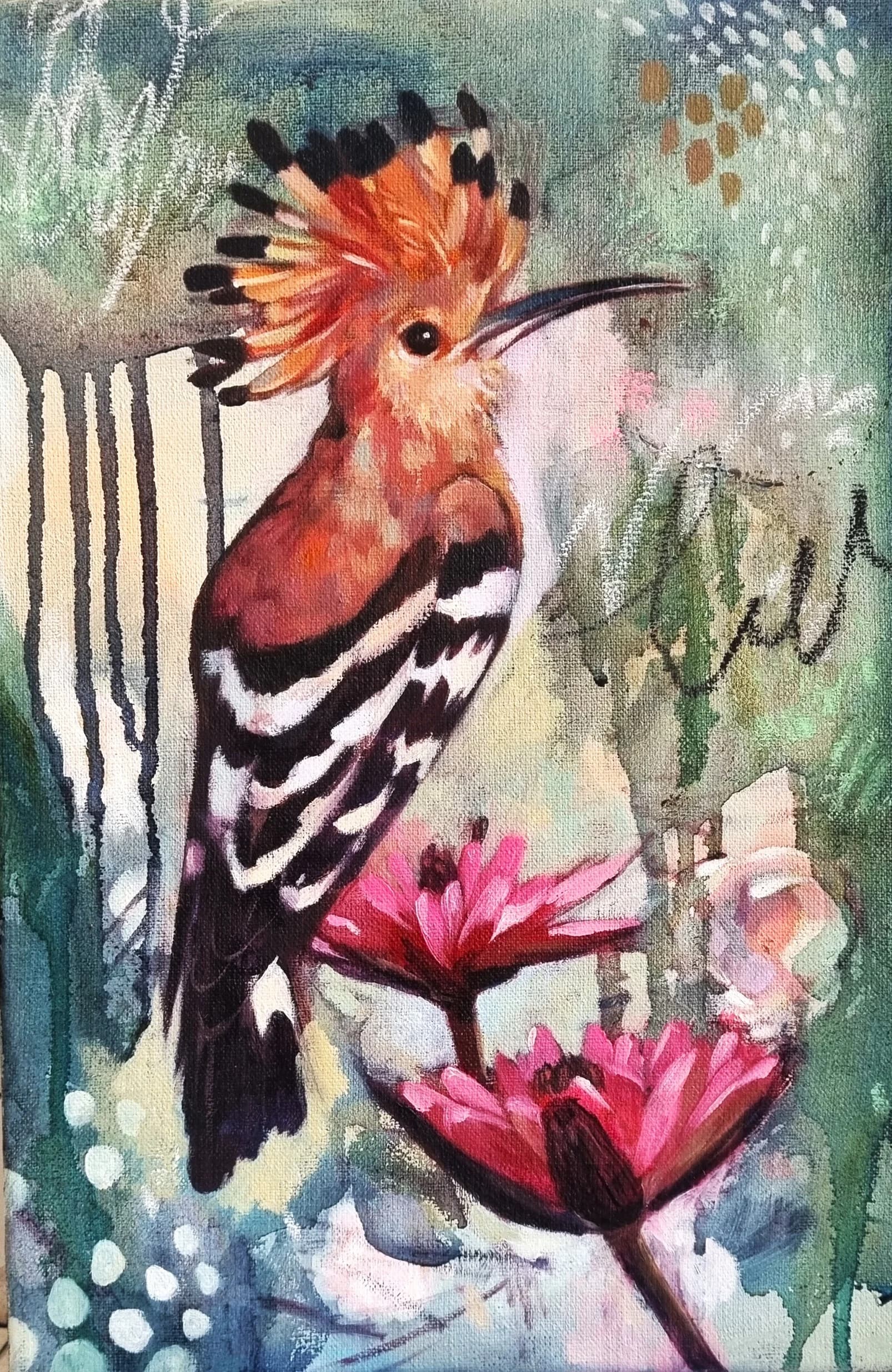 LITTLE HOOPOE