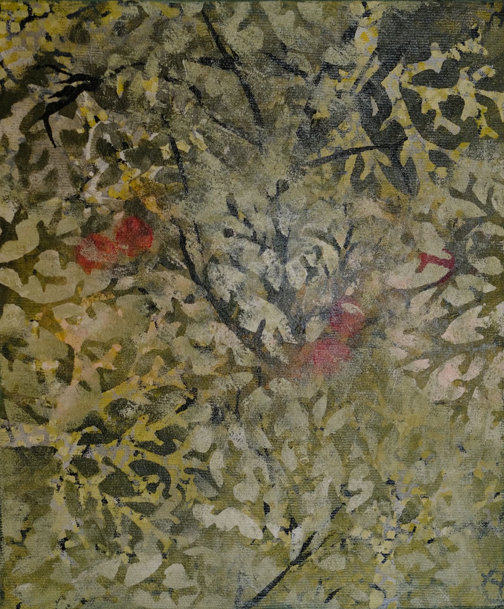 סבך בירוק - II