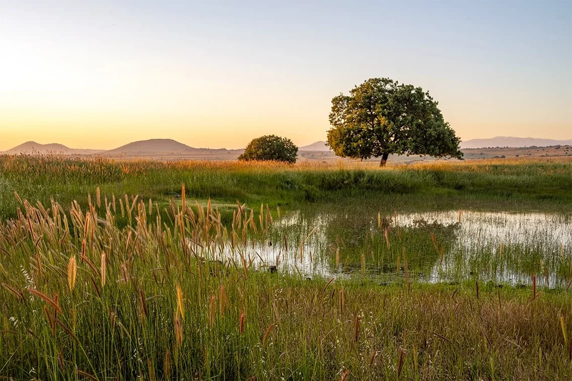 IN THE BEGINNING ....