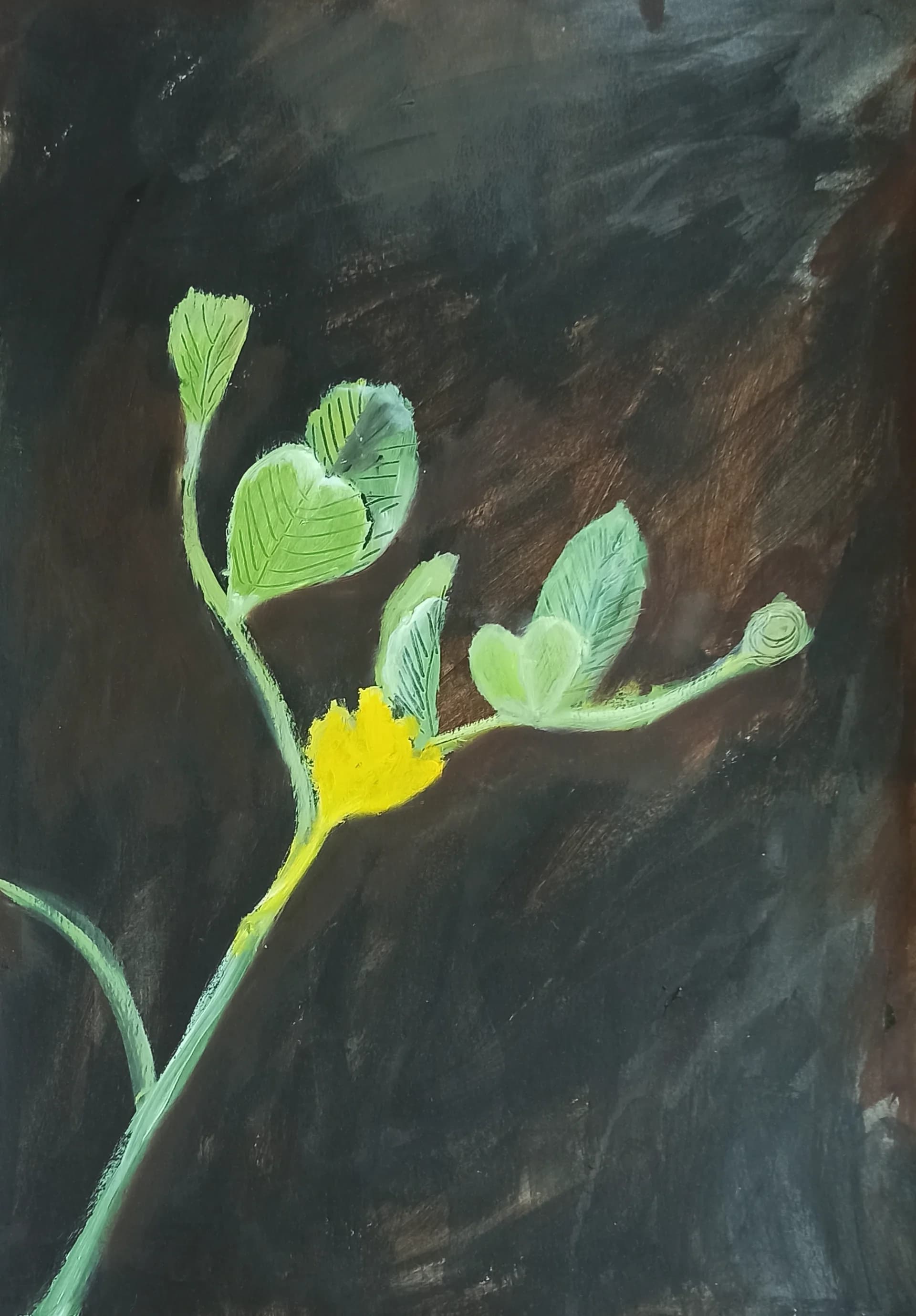 פרחי בר -אספסת מצויה