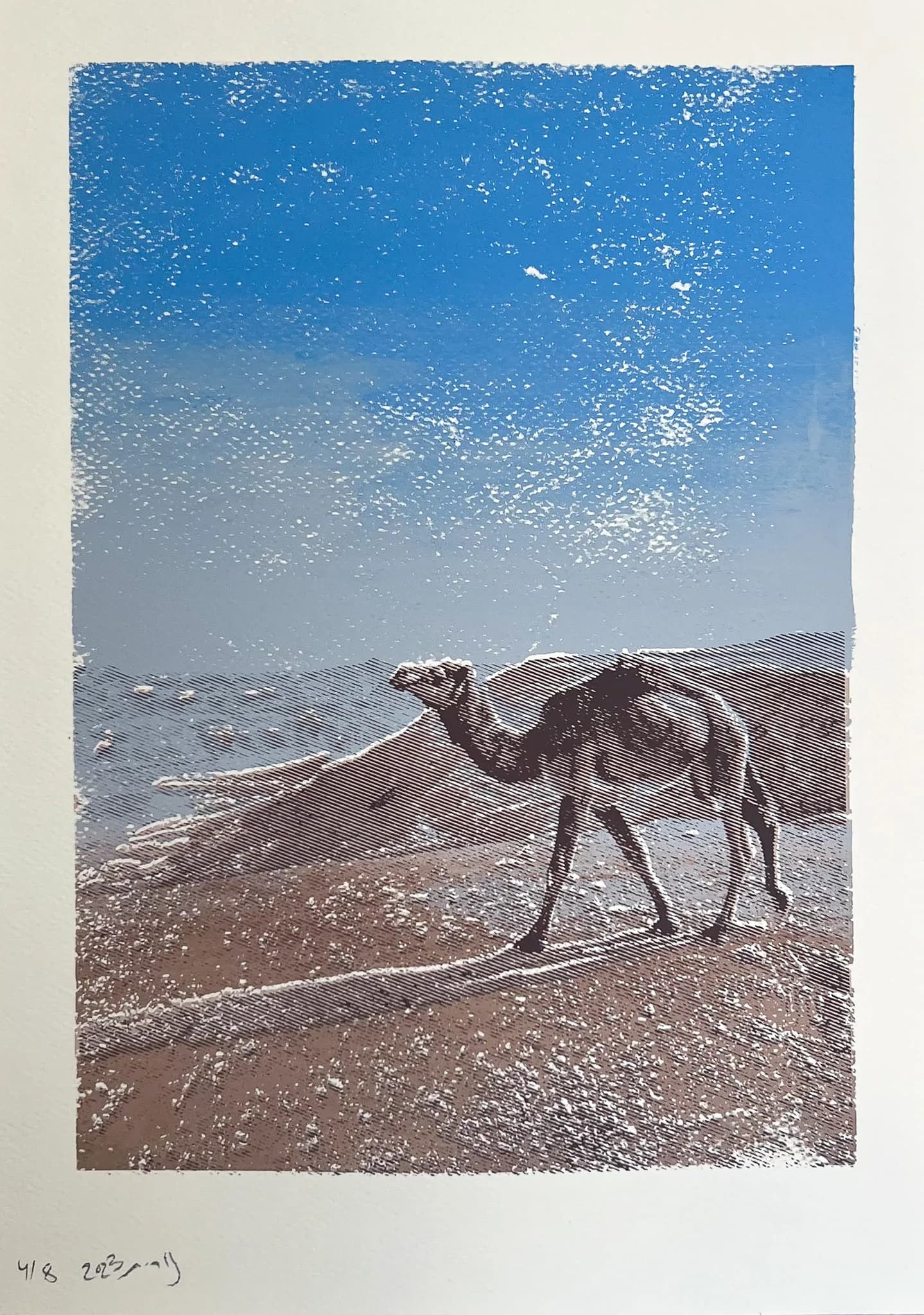 Camel (Gabi Peres)
