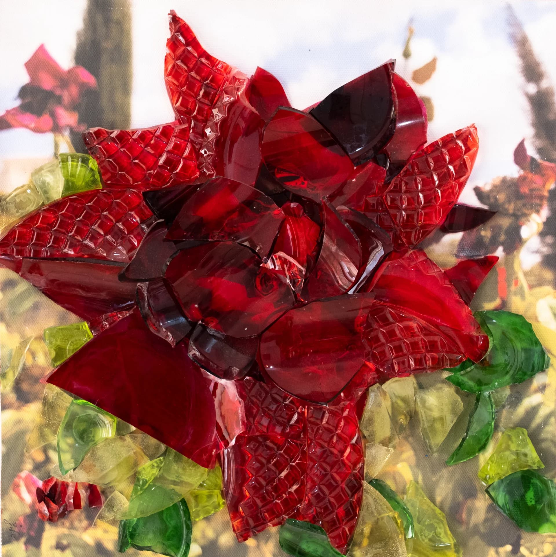 Rose