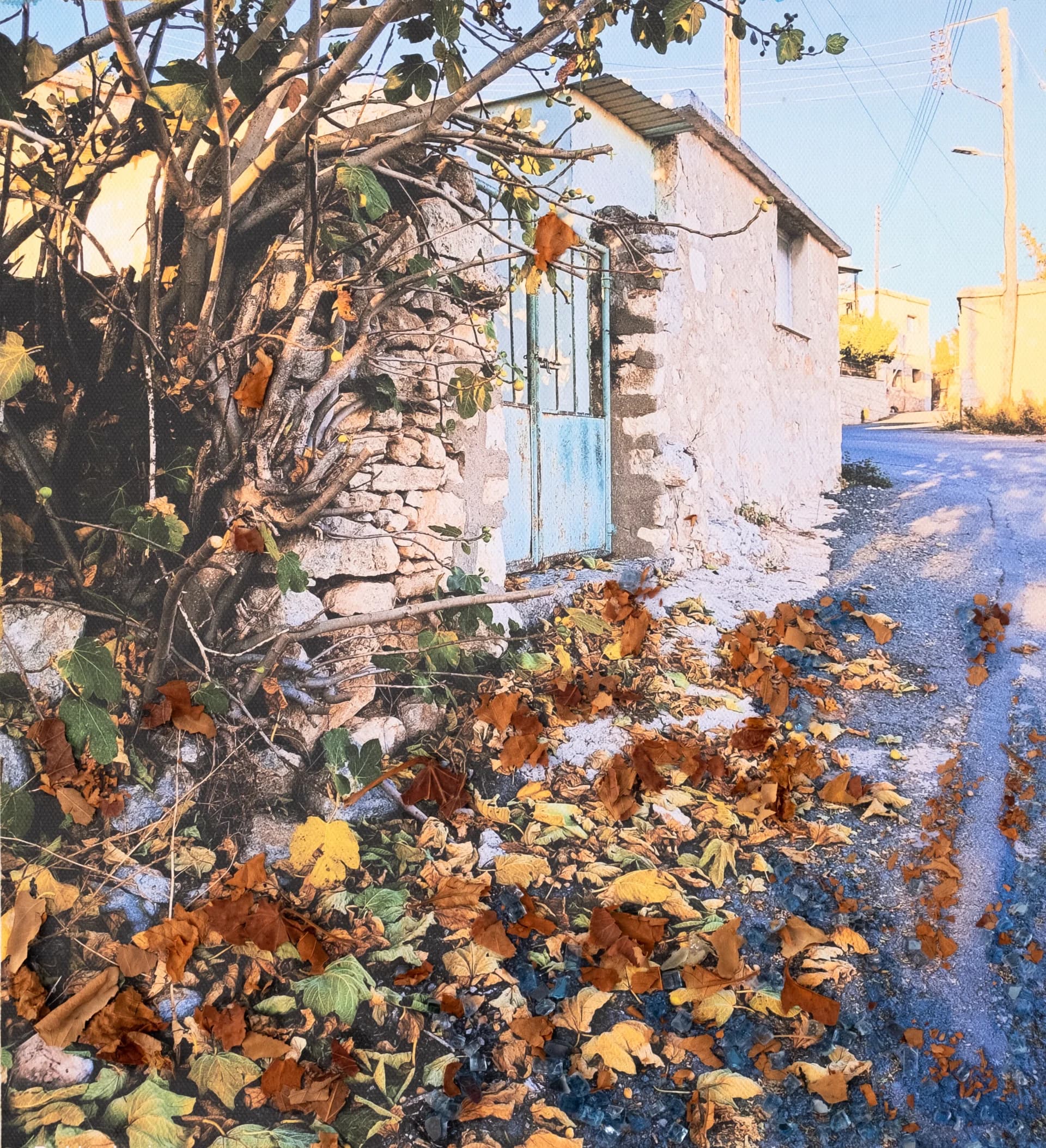 Autumn