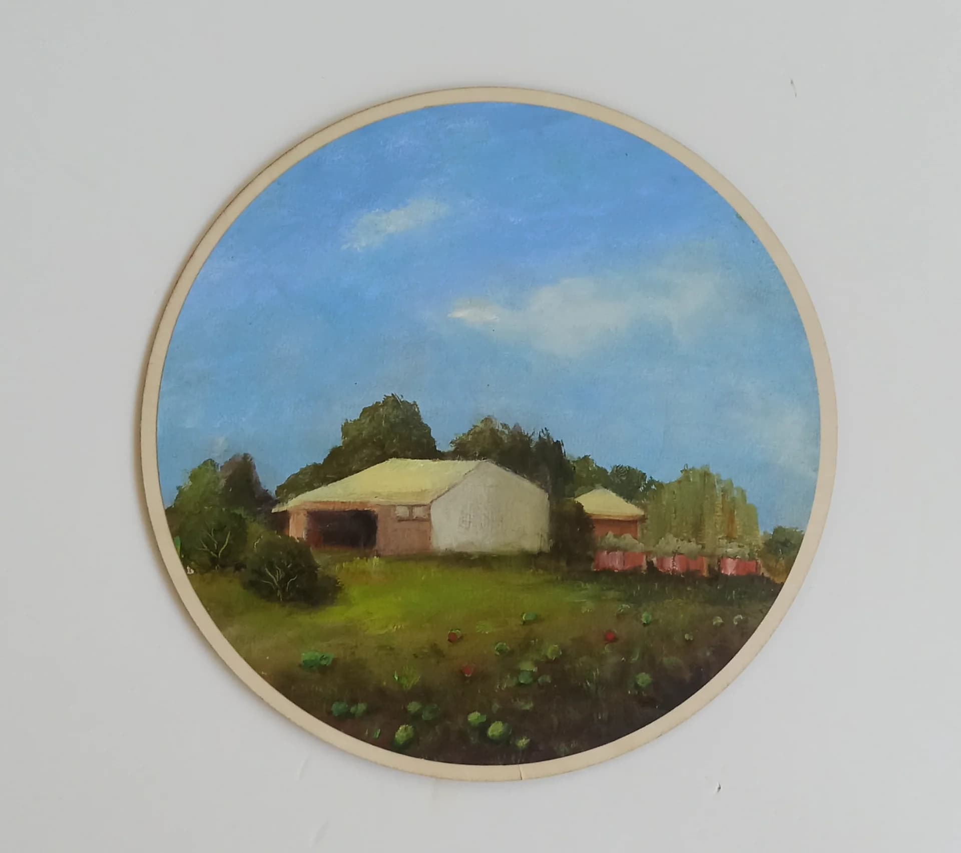Watermelon field