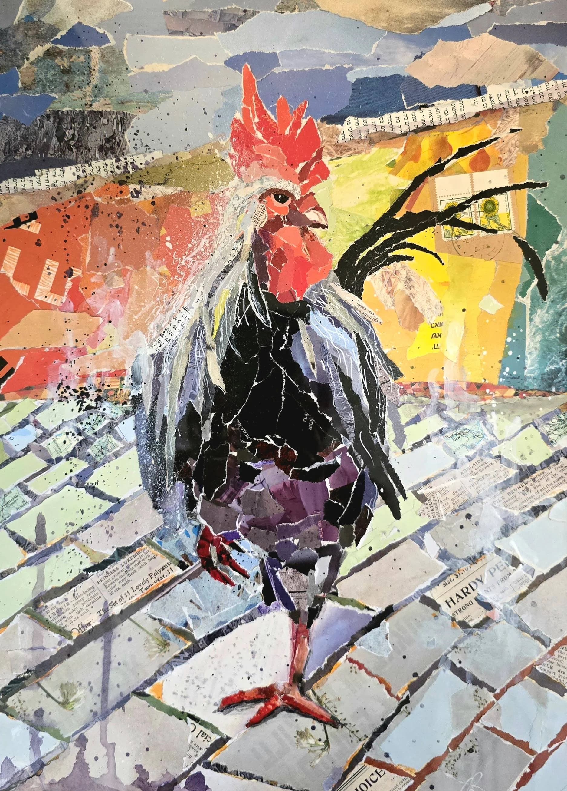 A rooster in the yard